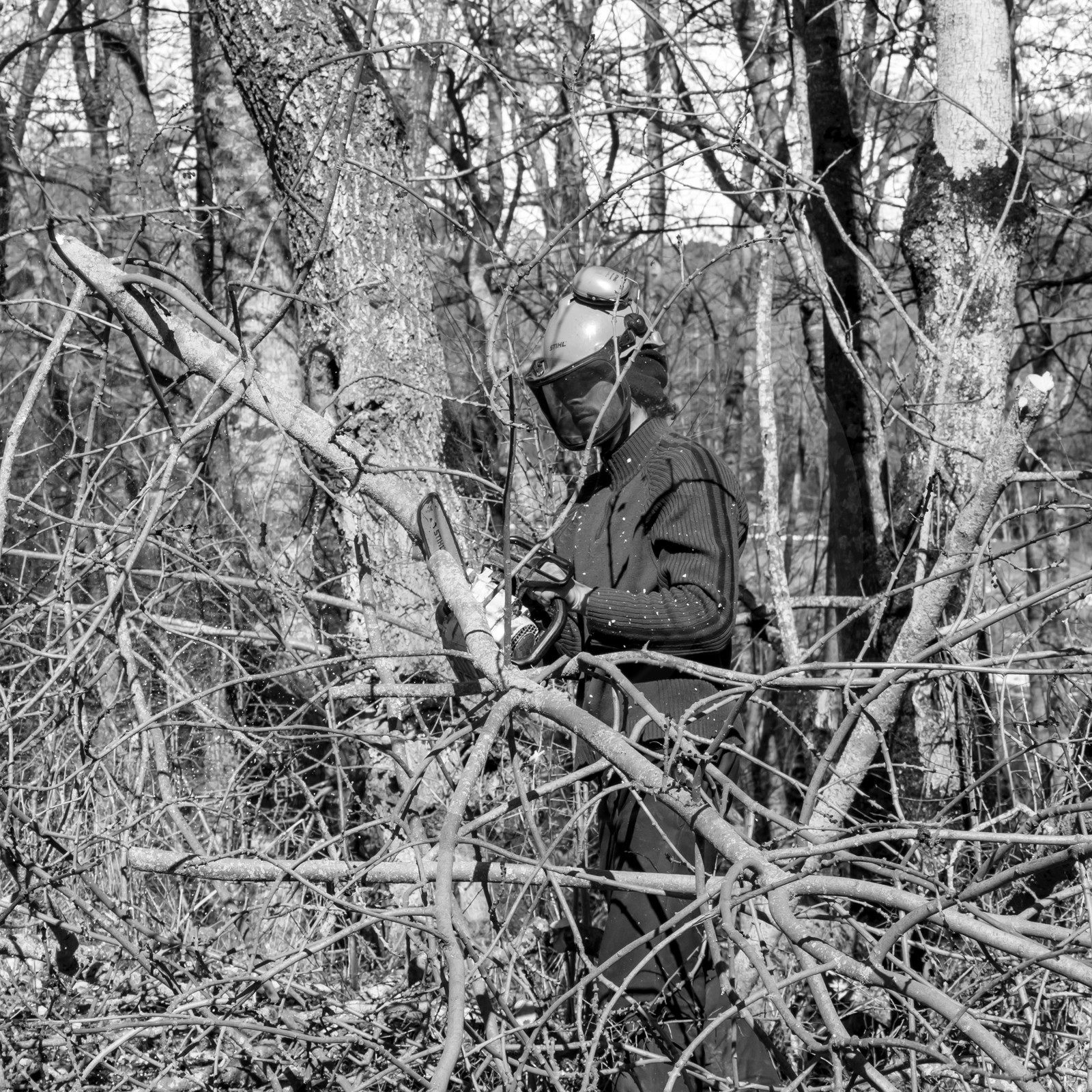 L'Ouort de Bénévent - 08 mars 2017