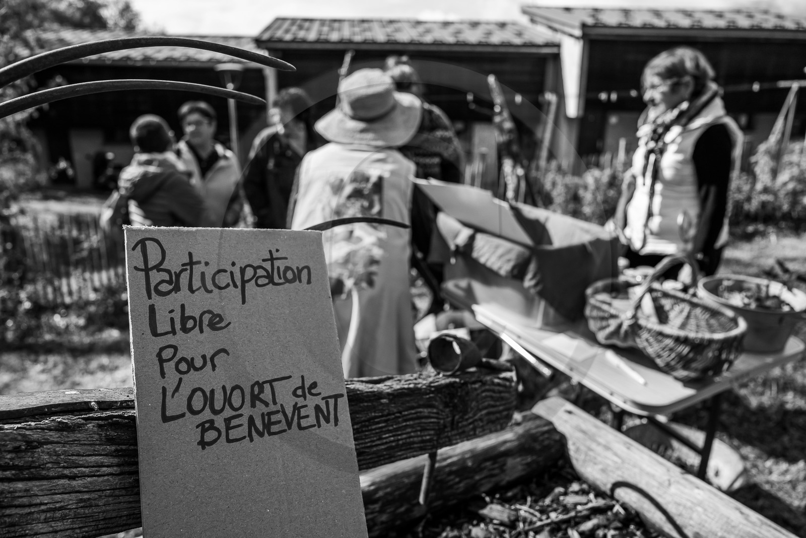 14 mai 2023 : Vide-Jardin