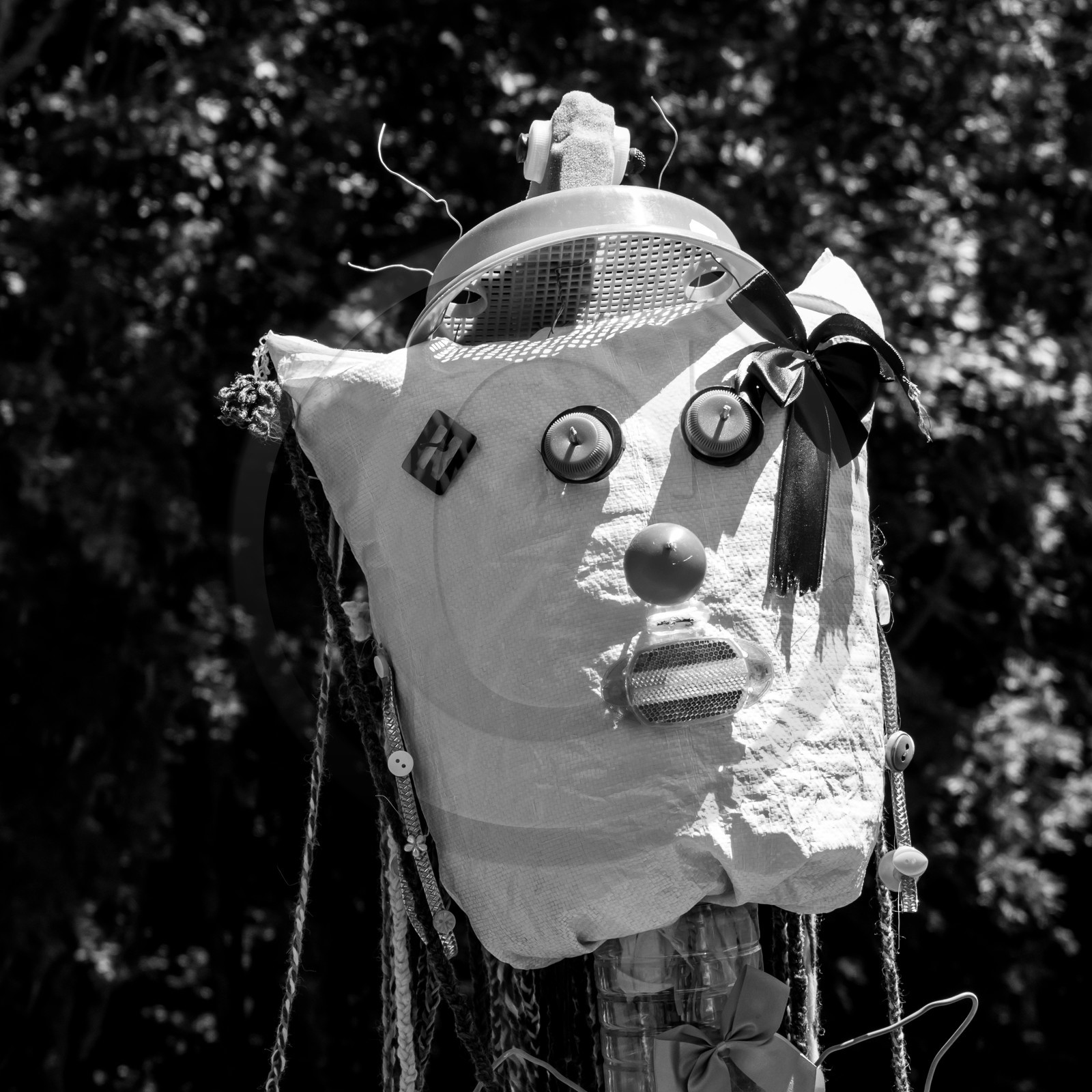 05 juillet 2017 - Installation épouvantails