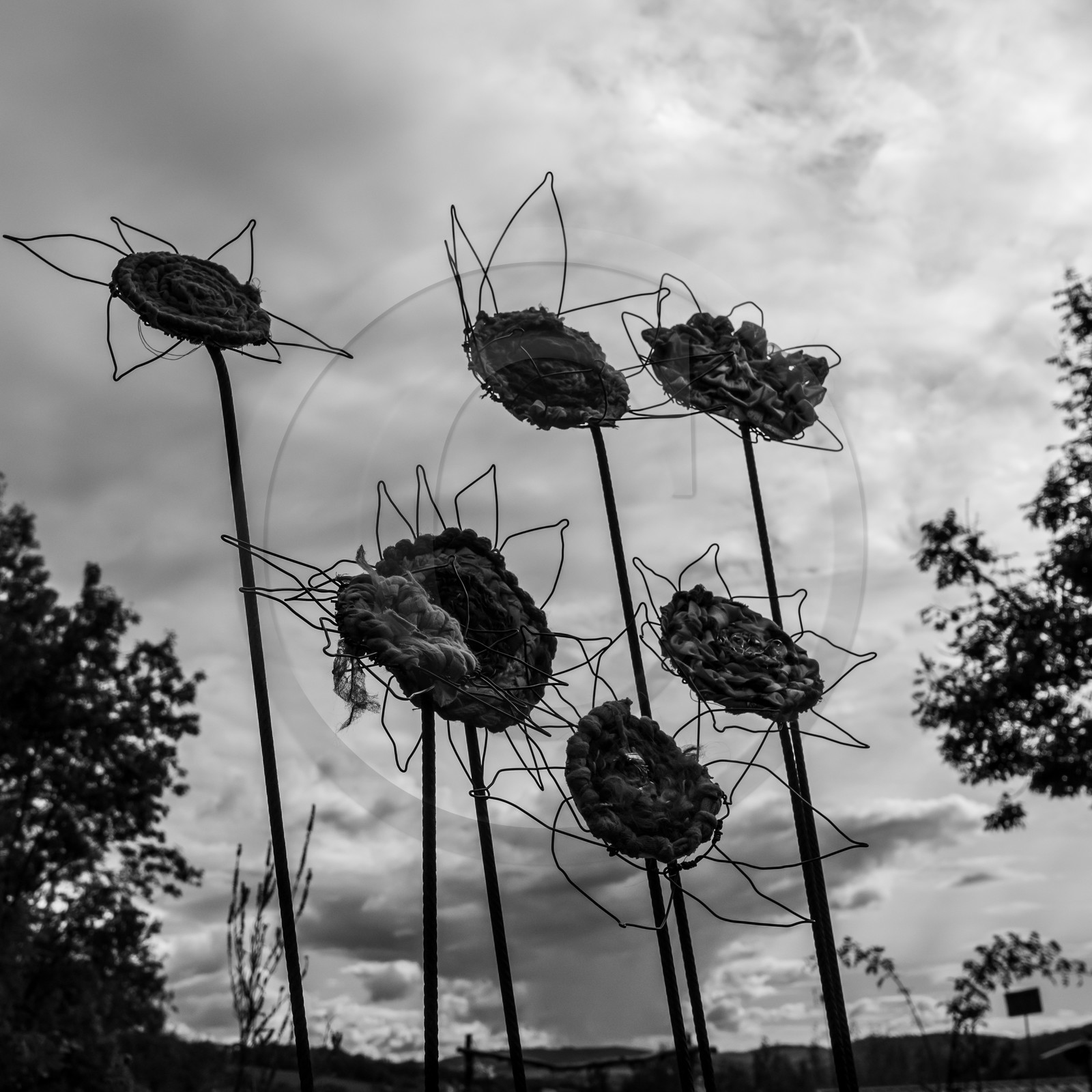 Fabrication de tournesols