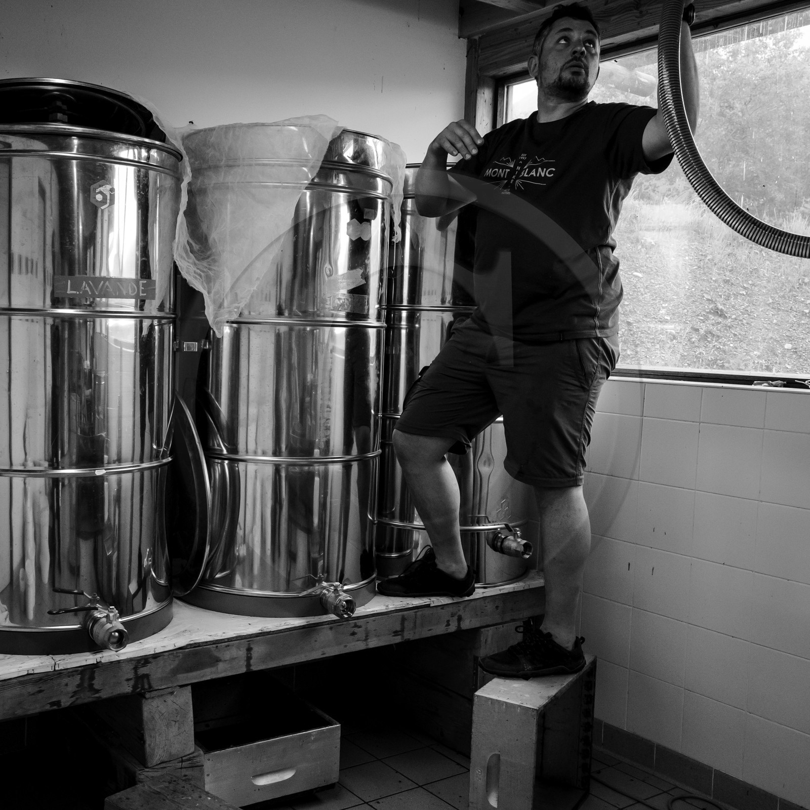 L'extraction du miel