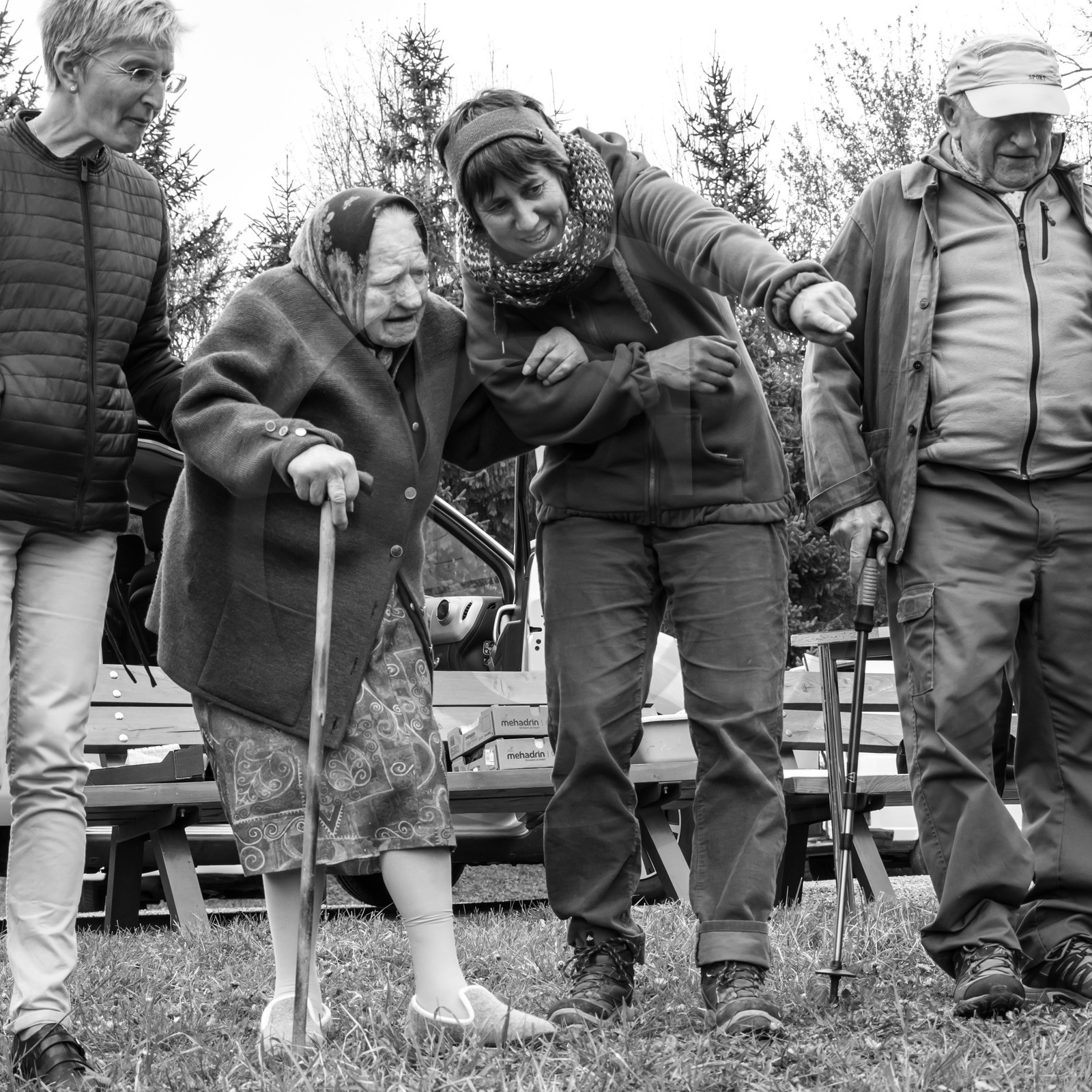 03 mai 2017 - Bac, semis et plantations