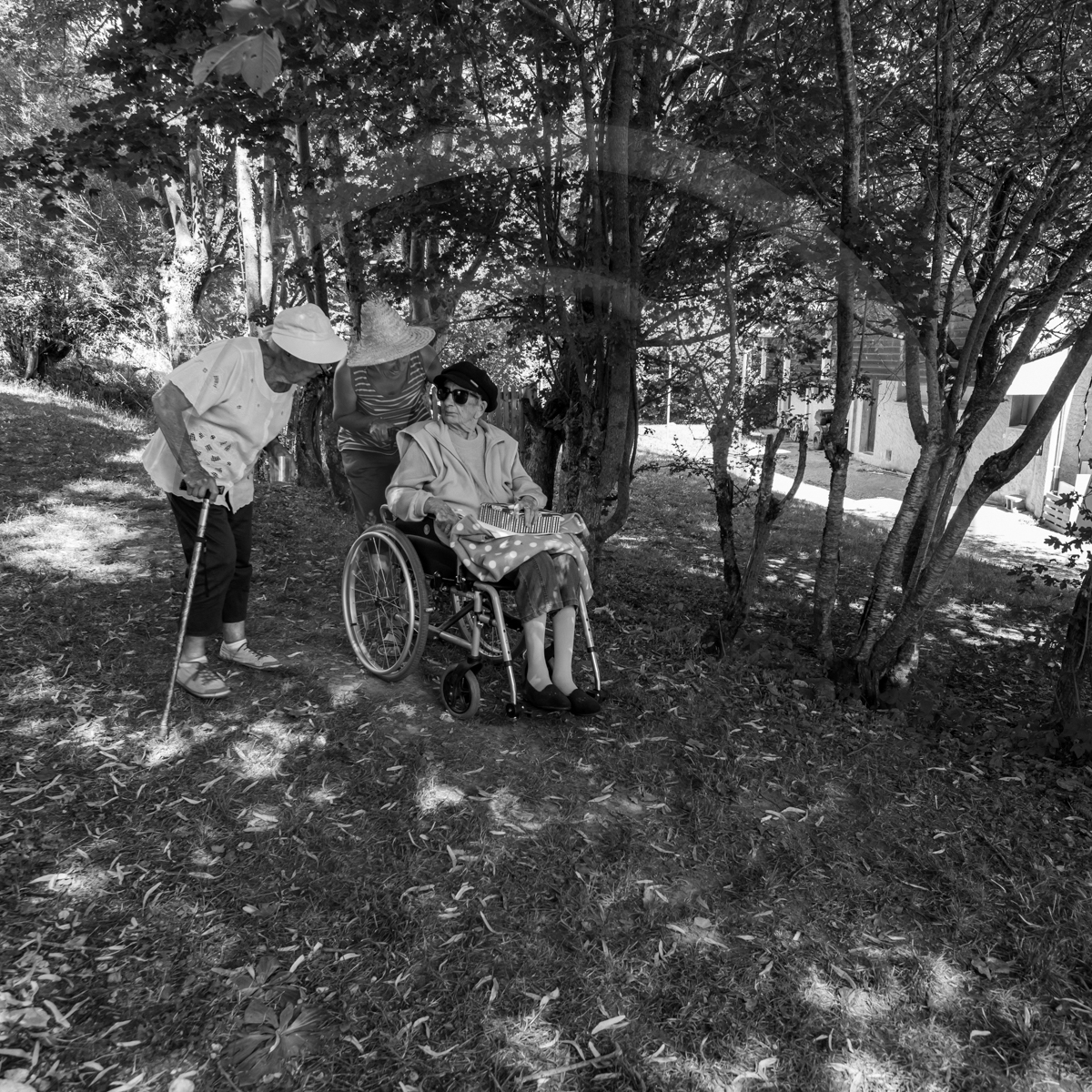 29 juin 2022 : Découverte des plantes sauvages