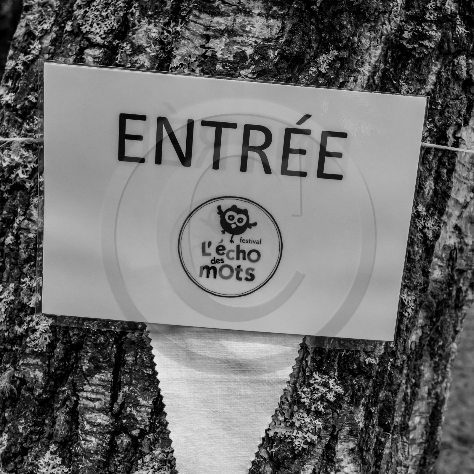 Festival l'Echo des mots