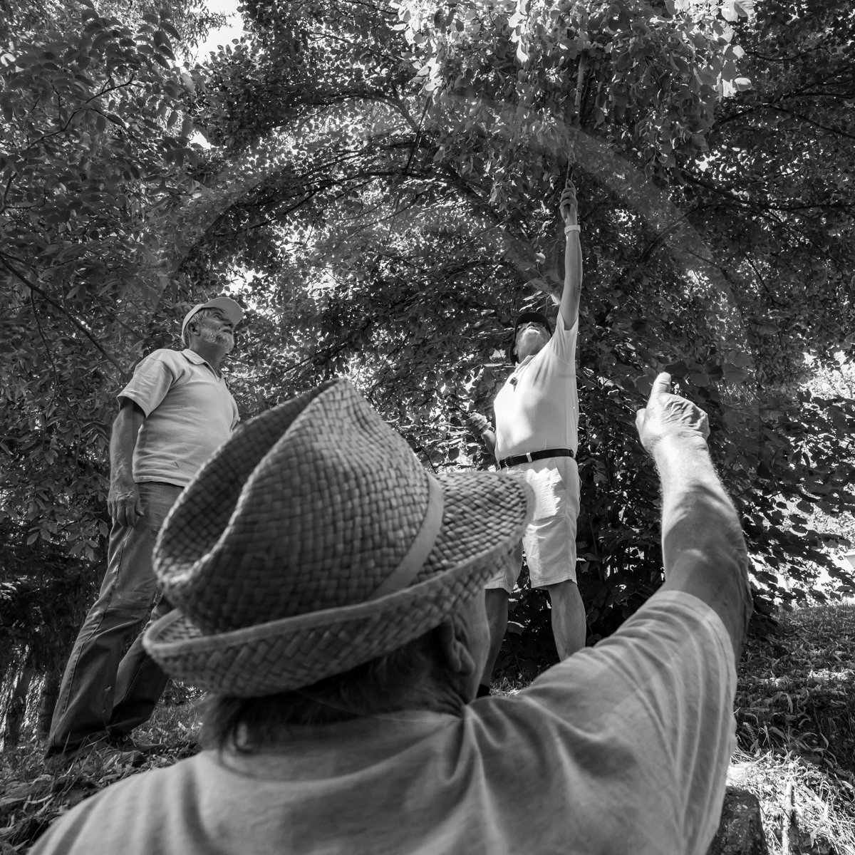 29 juin 2022 : Découverte des plantes sauvages