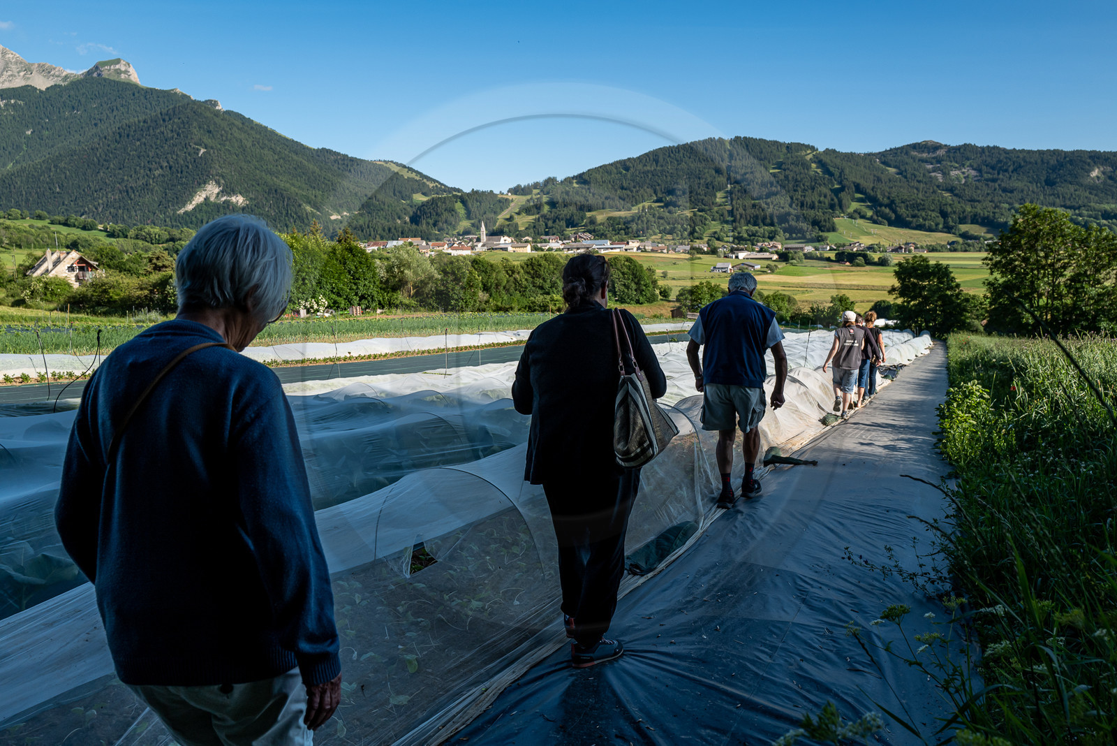 Légumontagne : maraichage biologique à Ancelle