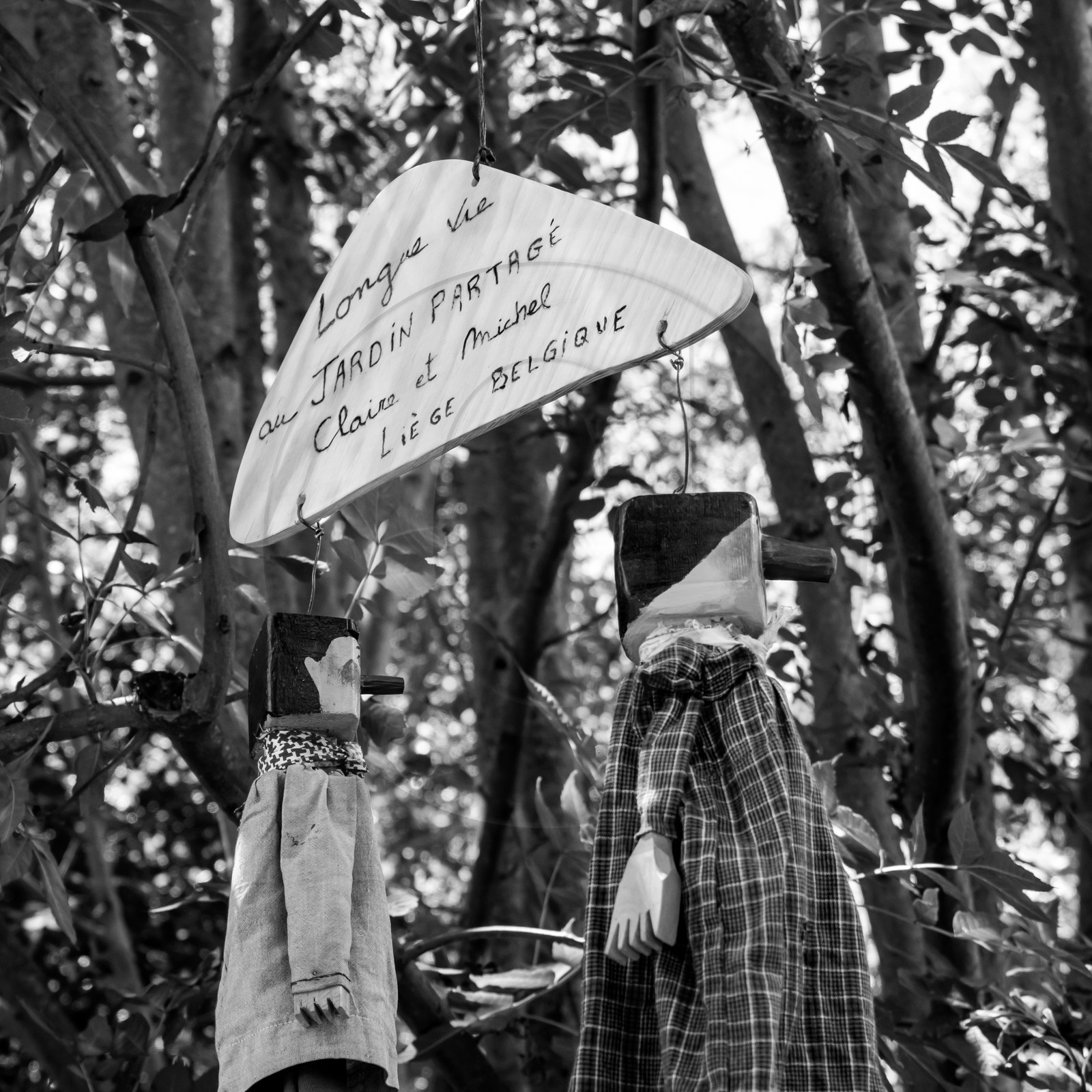 05 juillet 2017 - Installation épouvantails