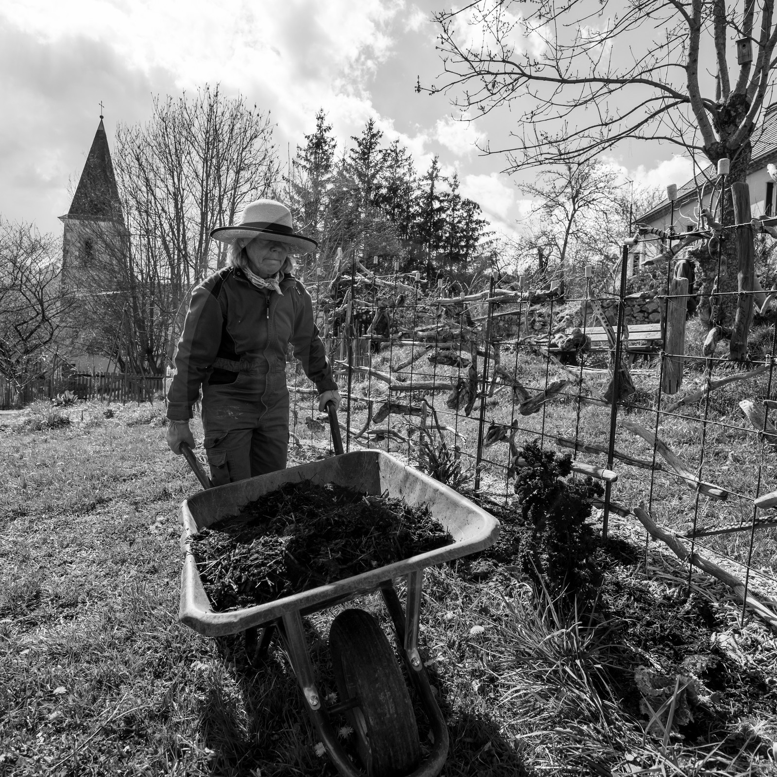 14 avril 2021 : collages, taille, jardinage