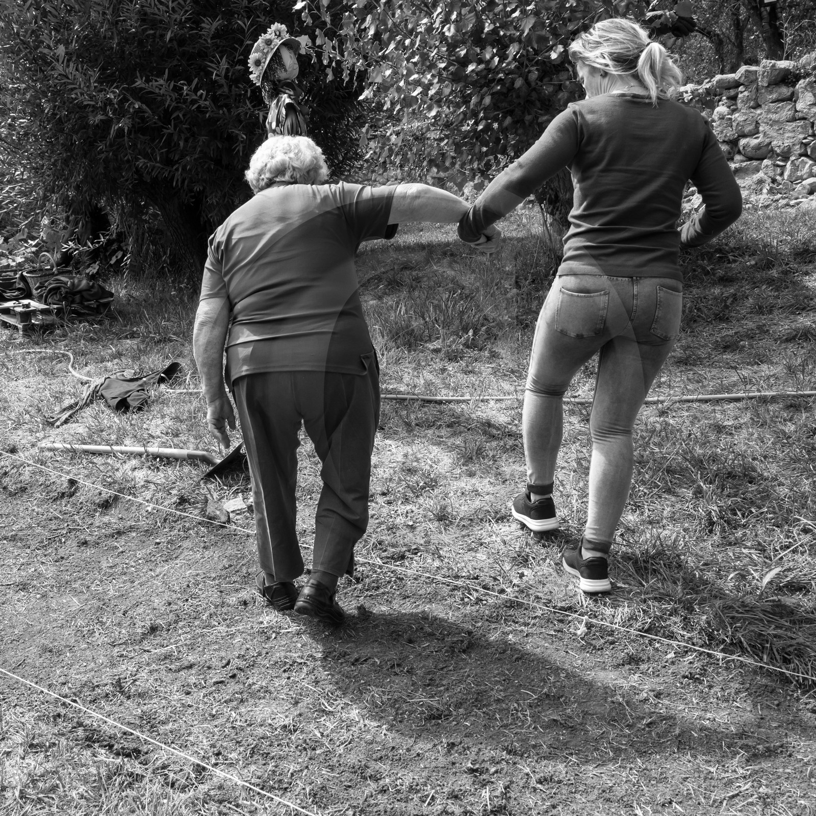 13 septembre 2017 - Chemins - Graines