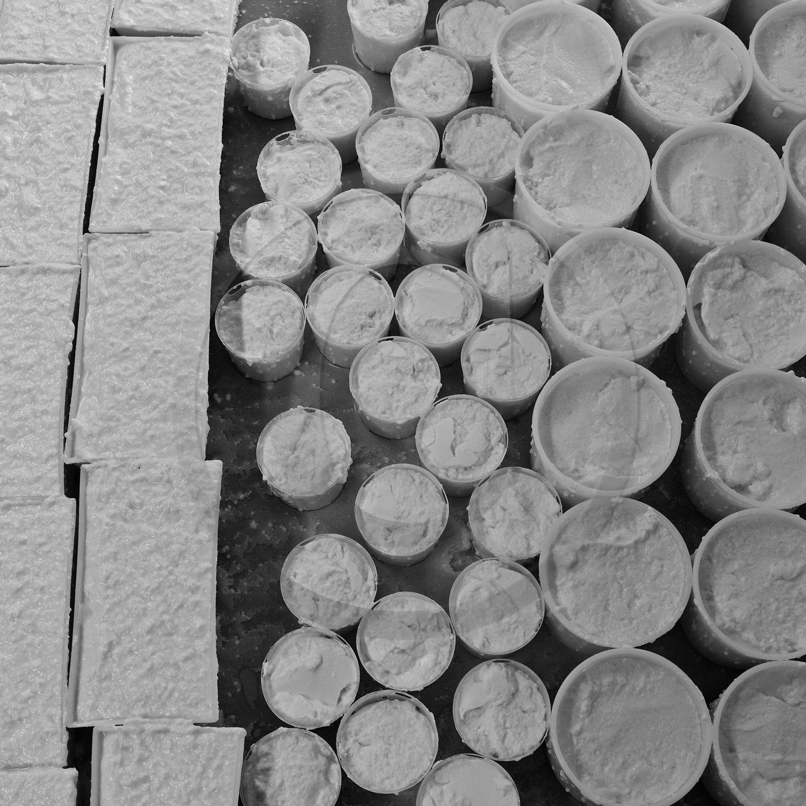 Paul Flambard, fromager