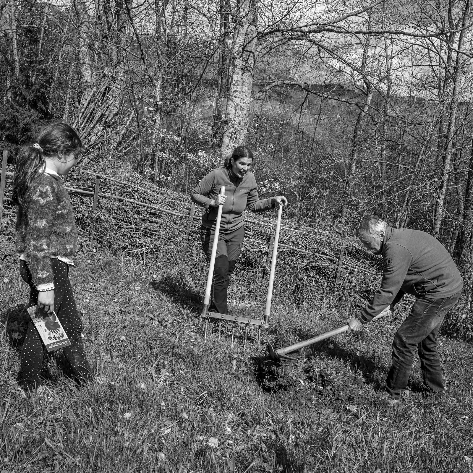 10 avril 2024 : Osier, laine et taille