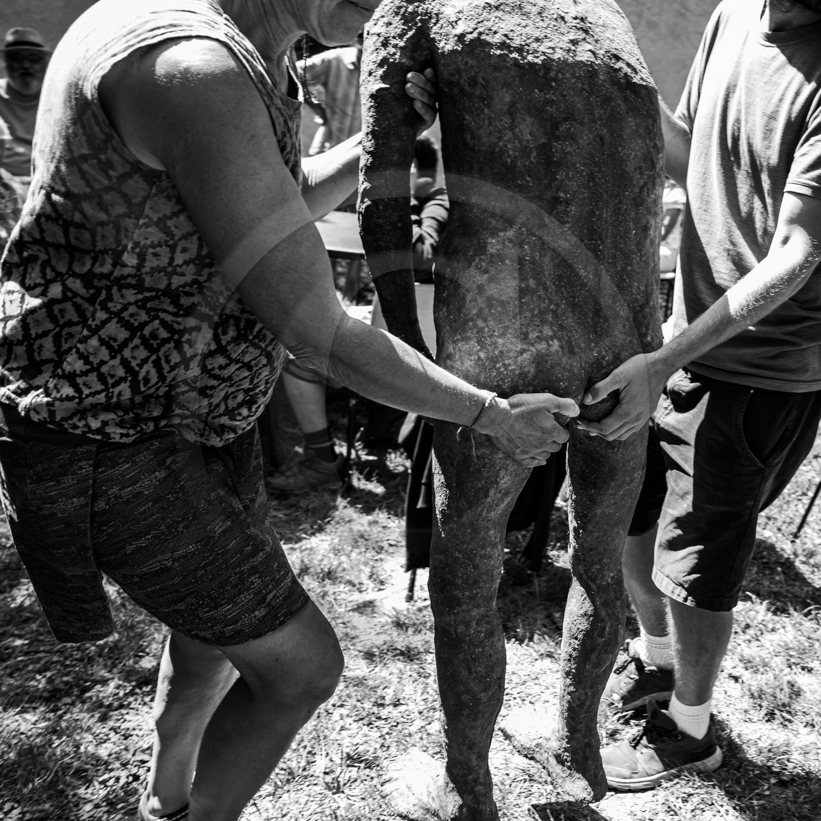 21 aout 2024 : Réalisation de Marcel Joli Coeur, l'homme de l'Ouort avec Barbara Fougnon, artiste plasticienne, et un anniversaire en chansons.