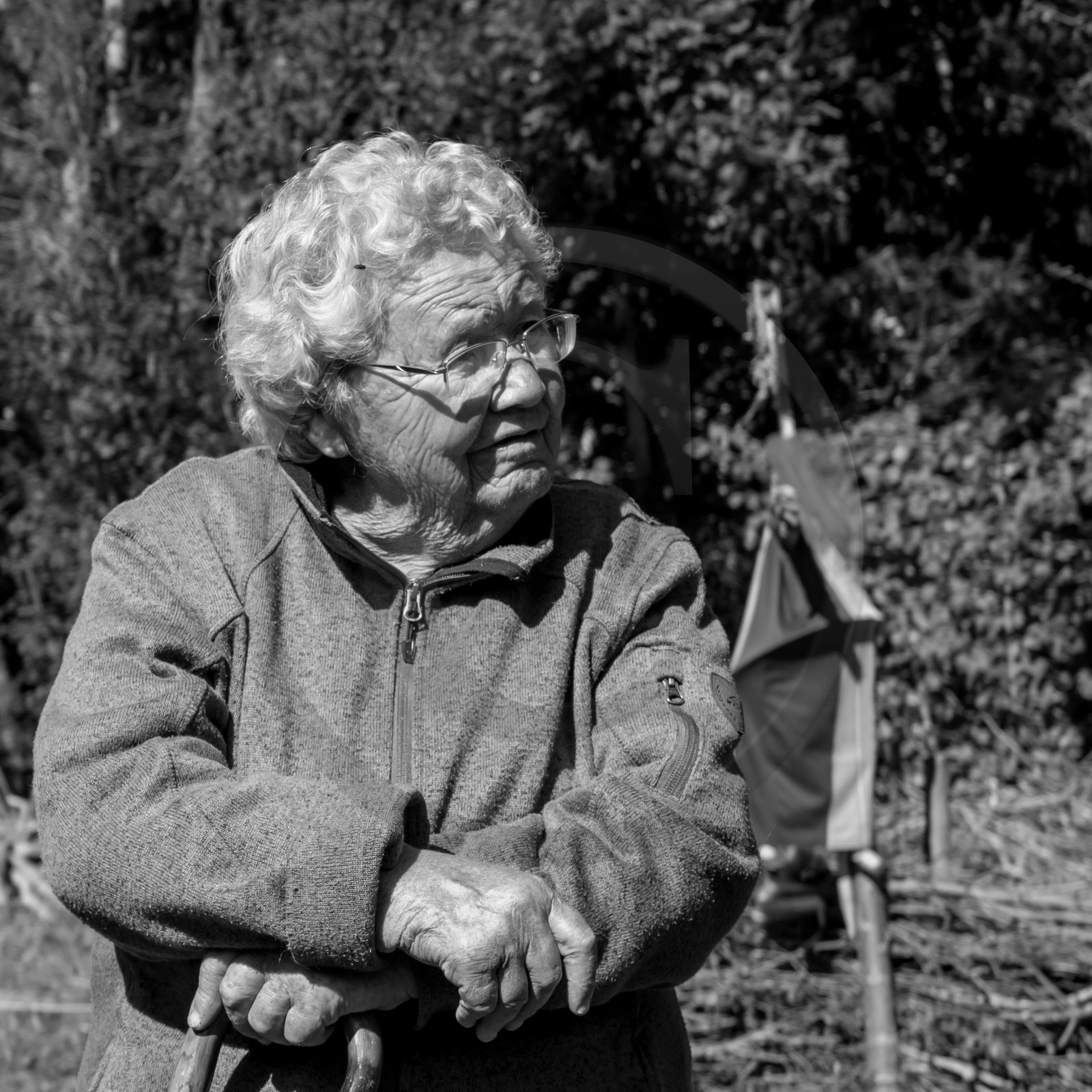 20 septembre 2017 - Jardinage