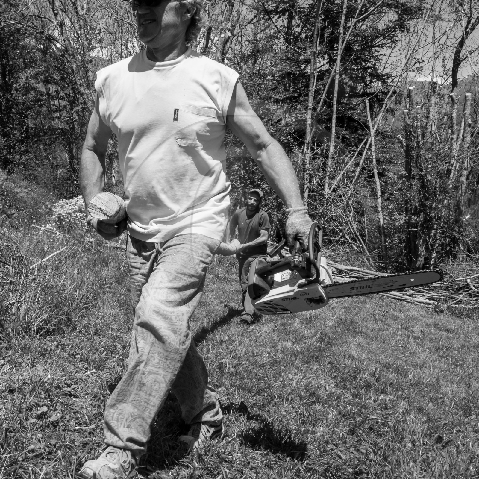 31 mai 2017 - Jardinage