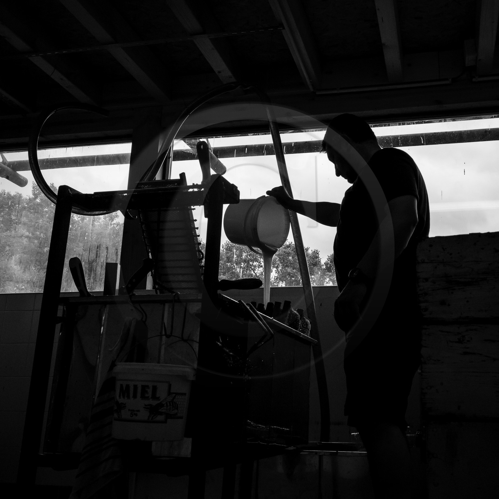 L'extraction du miel