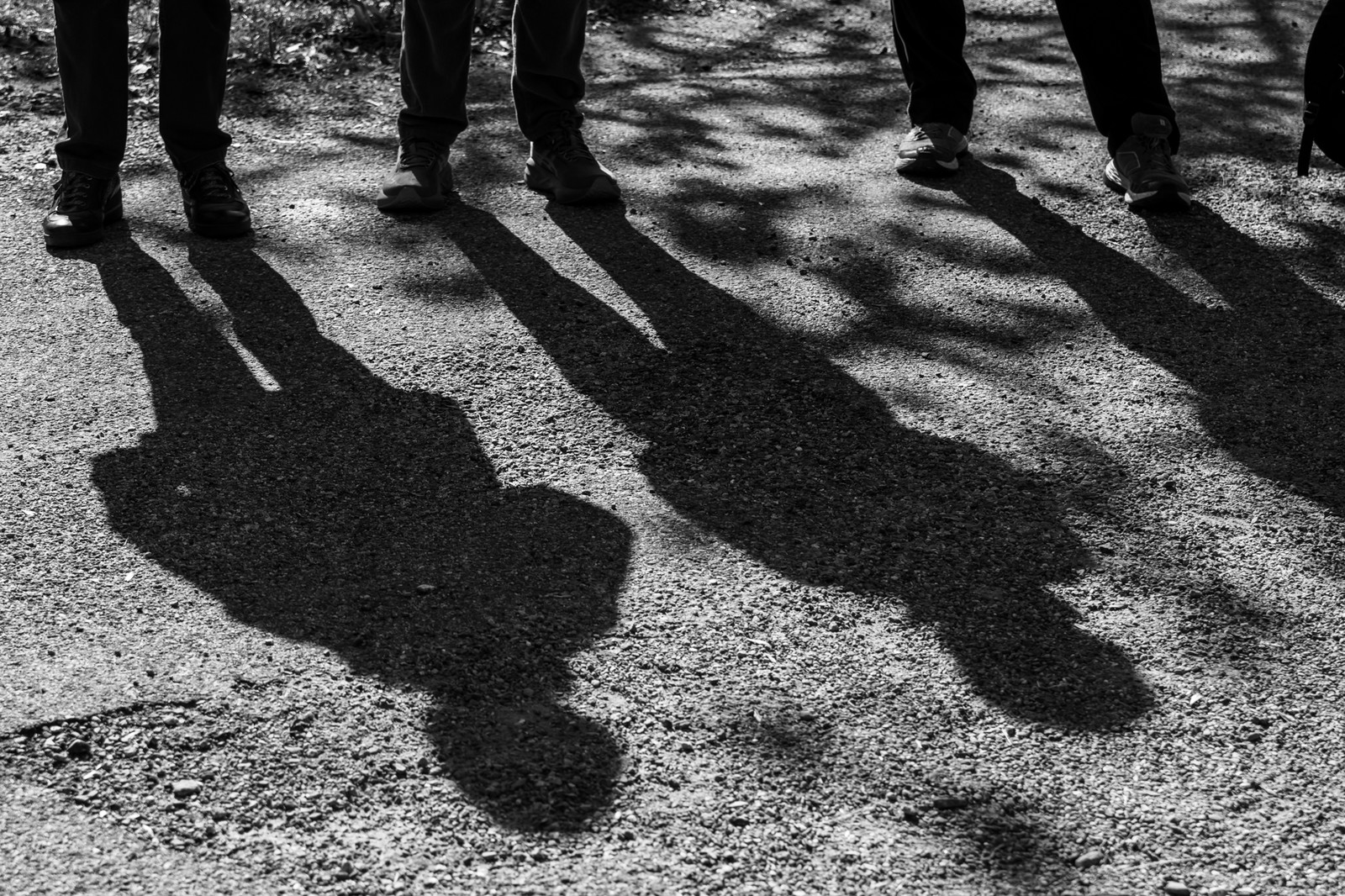 10 octobre 2025 : Journée des aidants