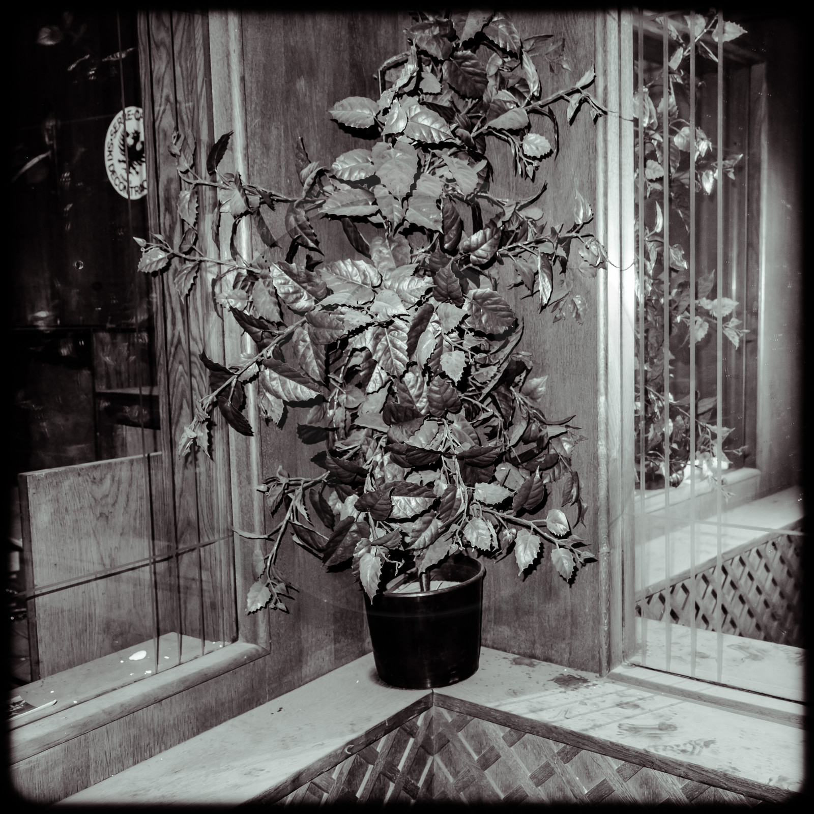 L'Hôtel Fourrat à La-Roche-de-Rame