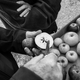 Ramène ta pomme