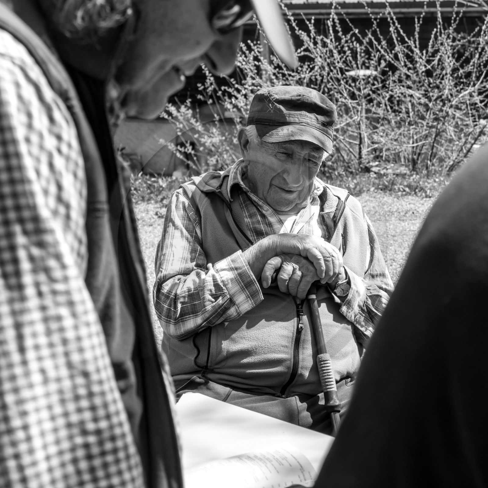 Fabrication de Nichoirs