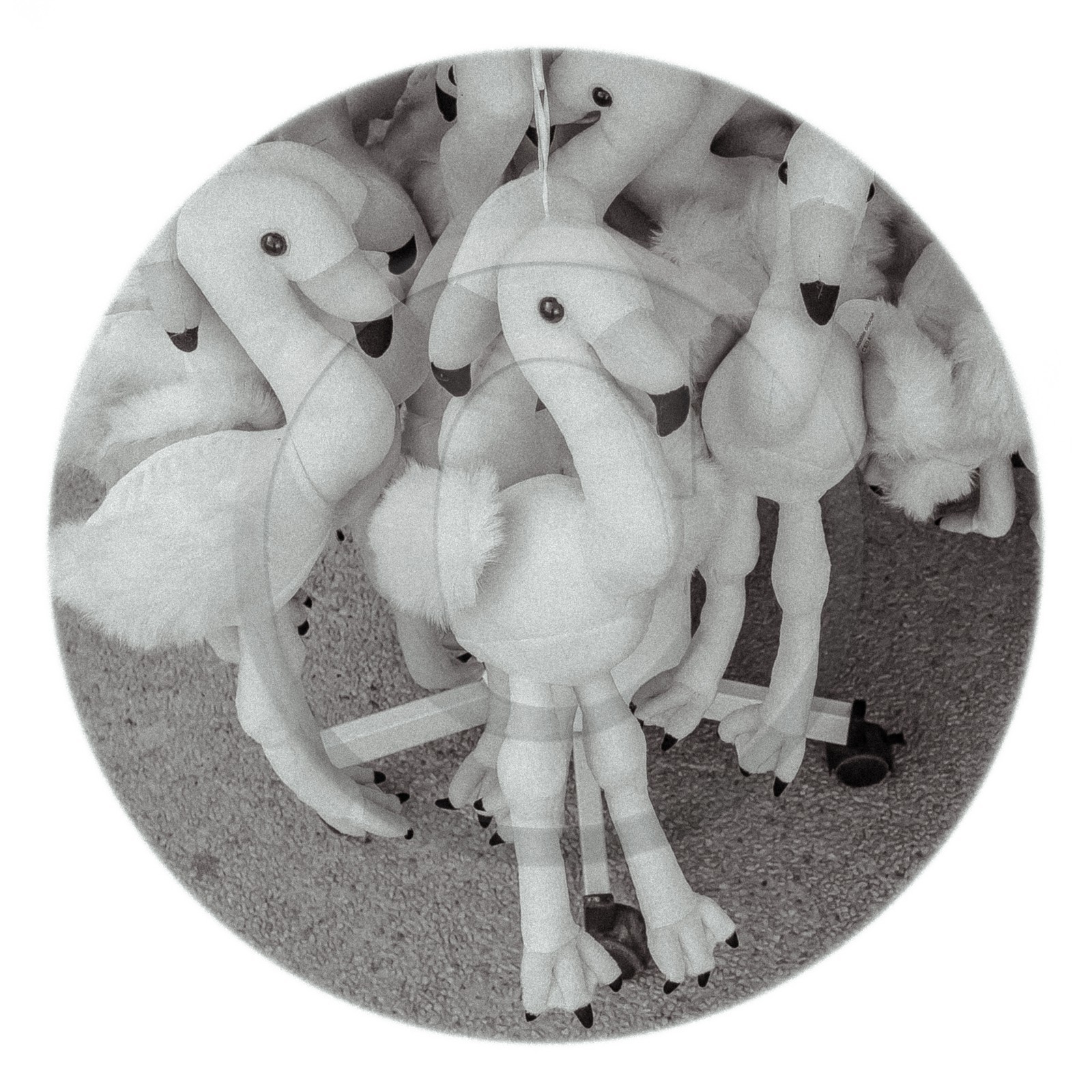 Les instants Camargue