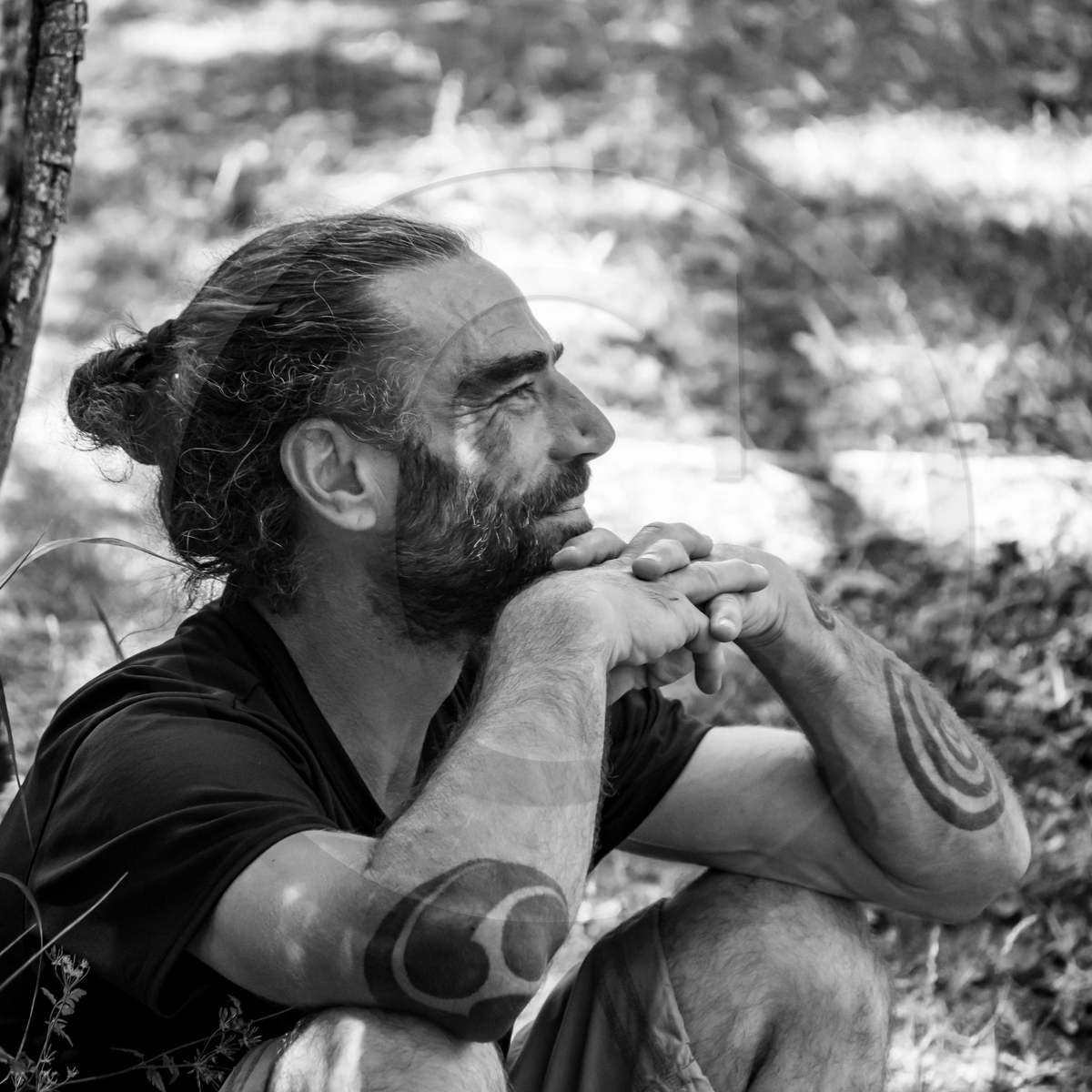 La cantine de Bernie