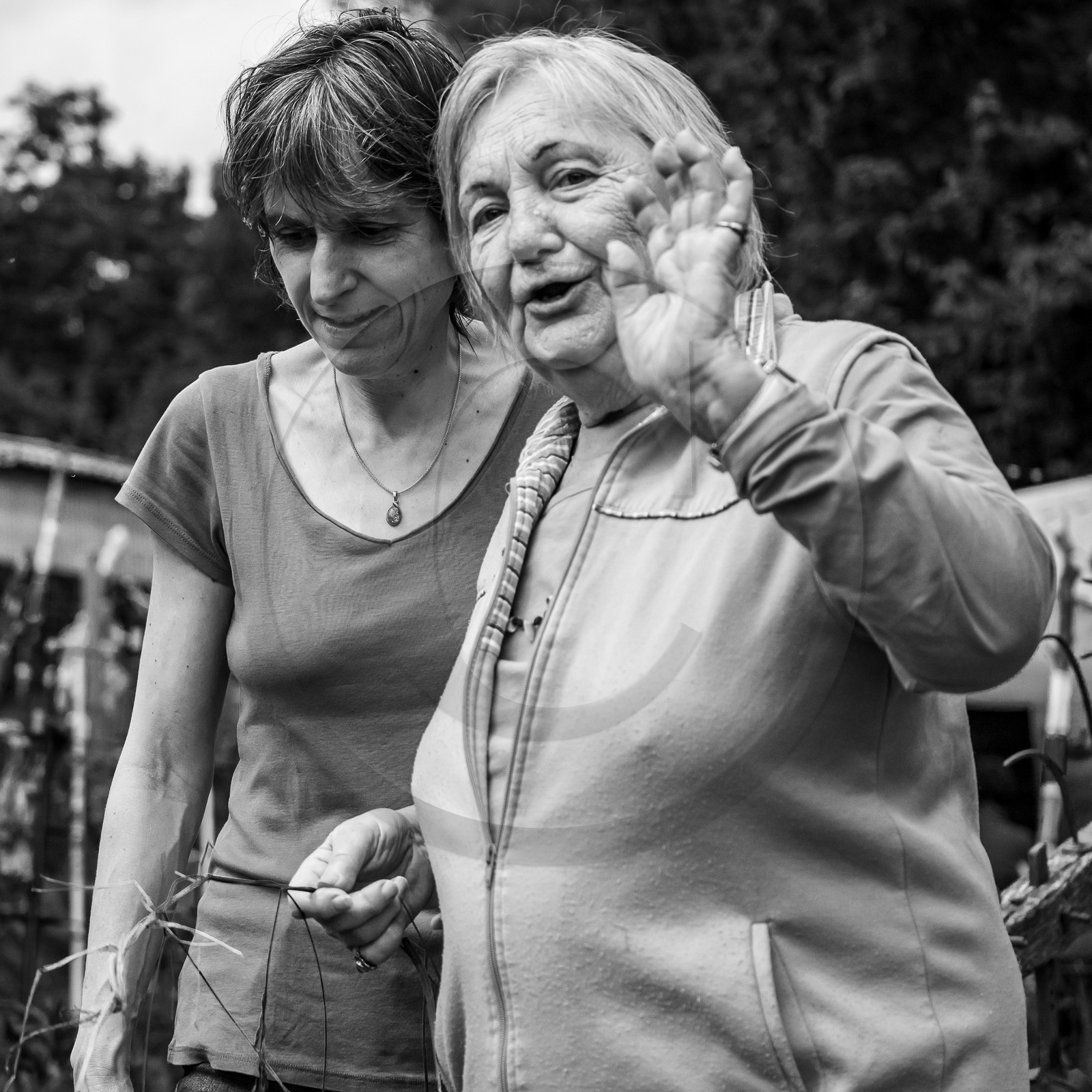 07 juin 2006 : un mercredi à l'Ouort