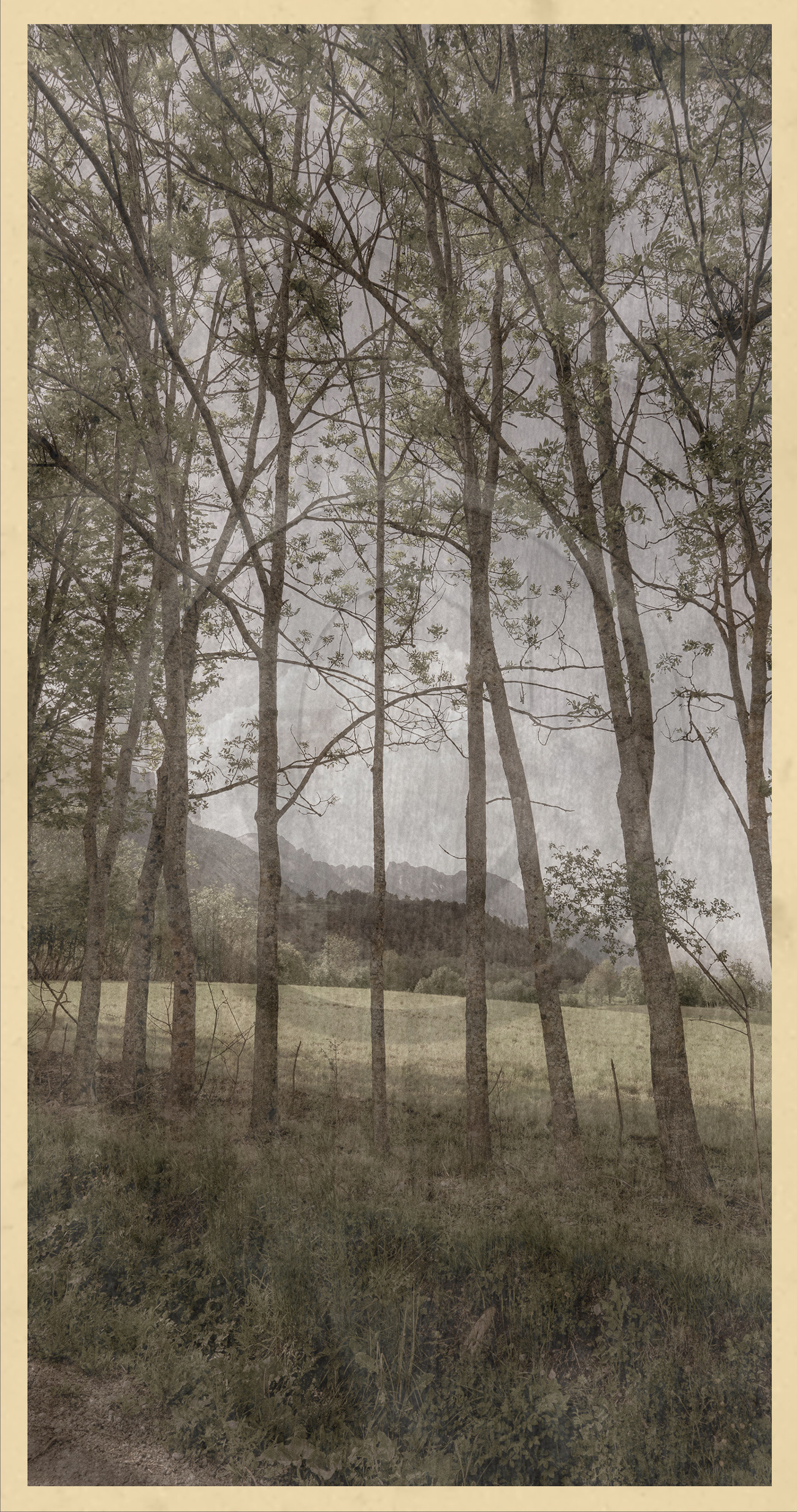 Le kilomètre dérogatoire