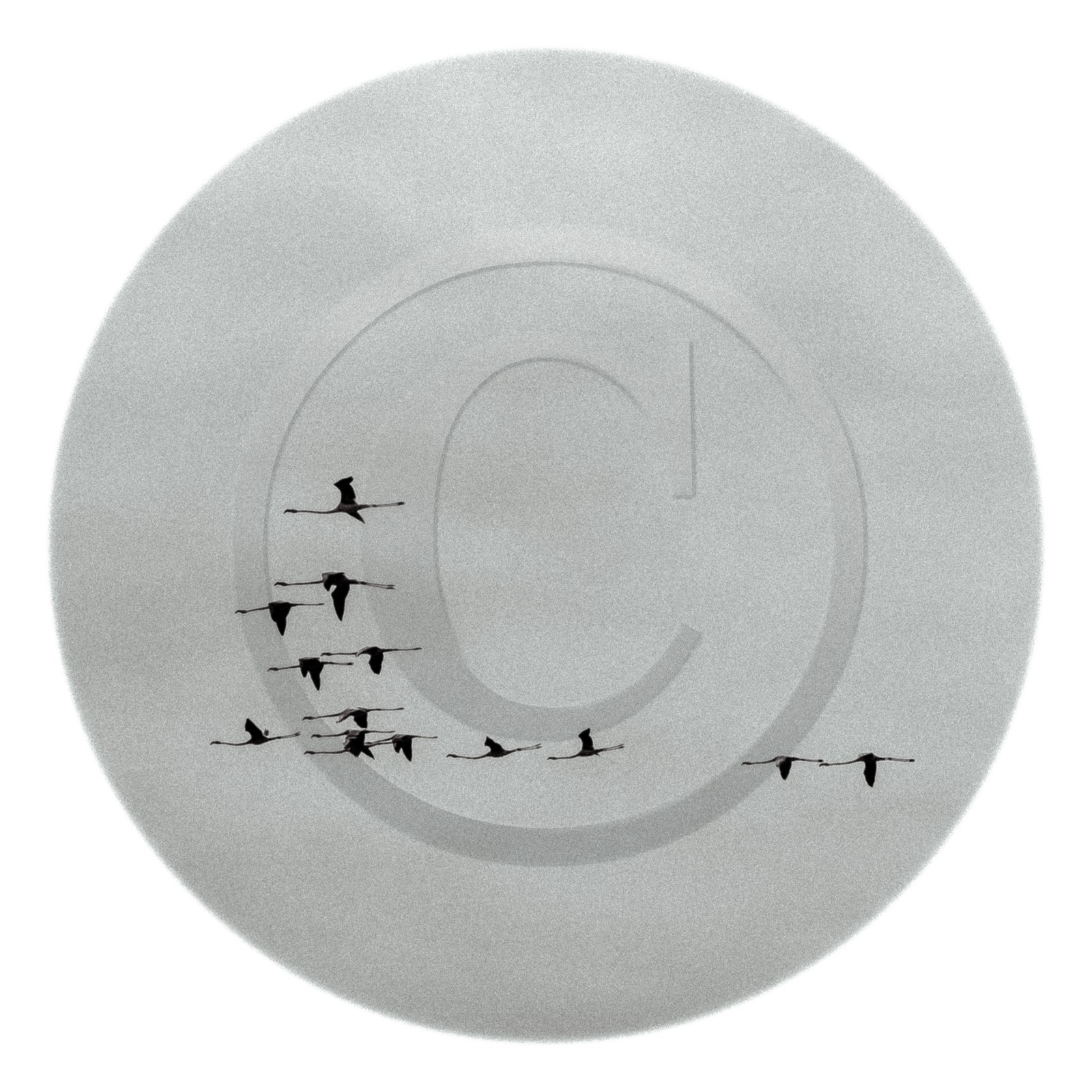 Les instants Camargue