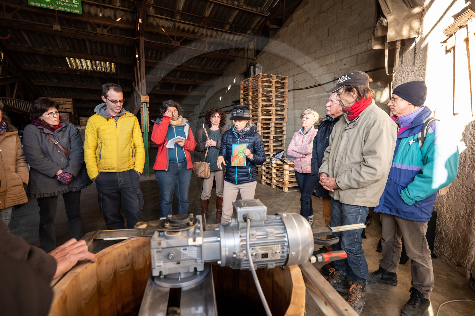 Croqueurs de pommes des Alpes Latines