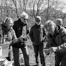 10 avril 2022 : Initiation à la greffe d'arbres fruitiers