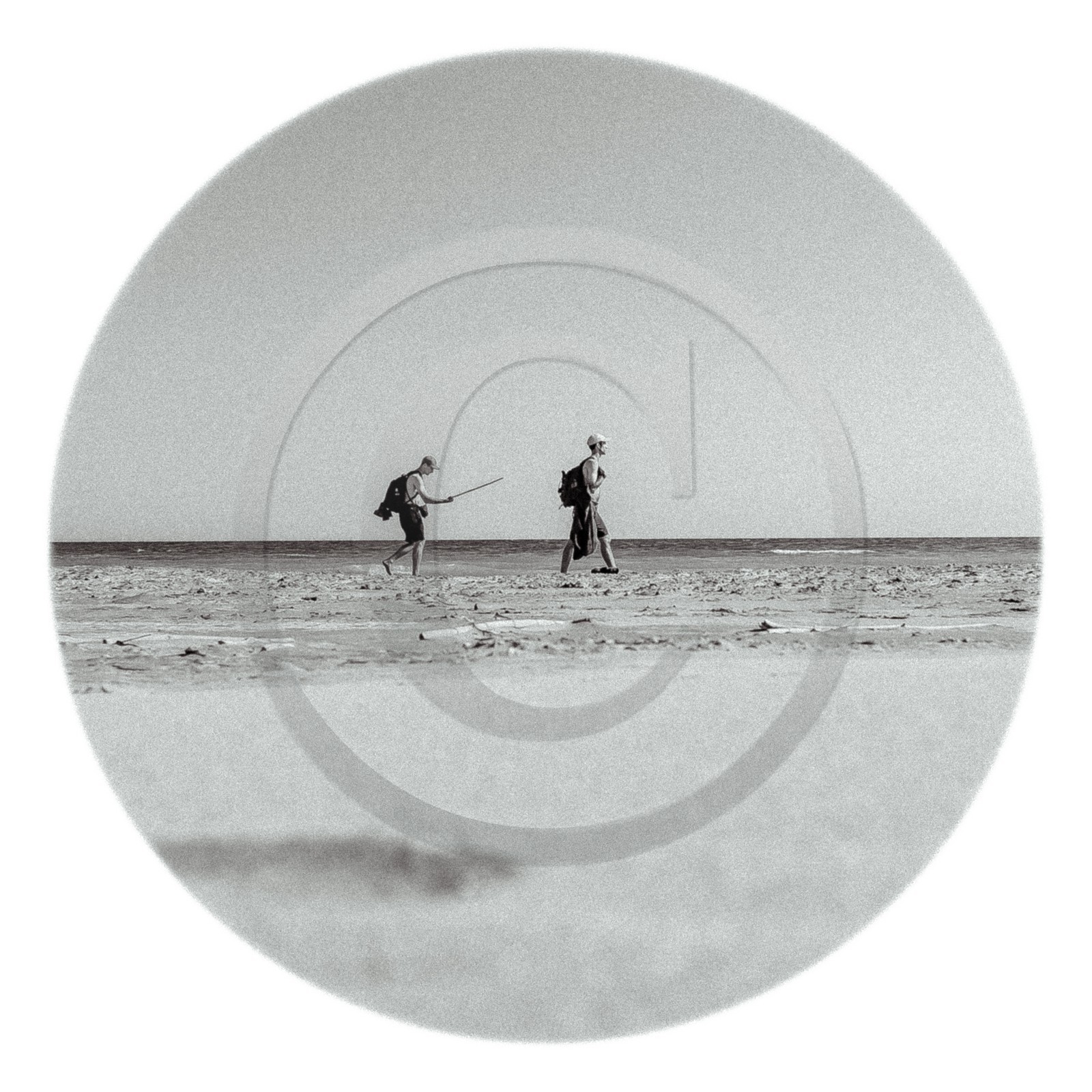 Les instants Camargue