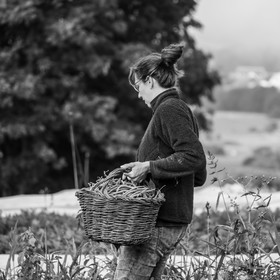 Maraichage biologique dans le Champsaur