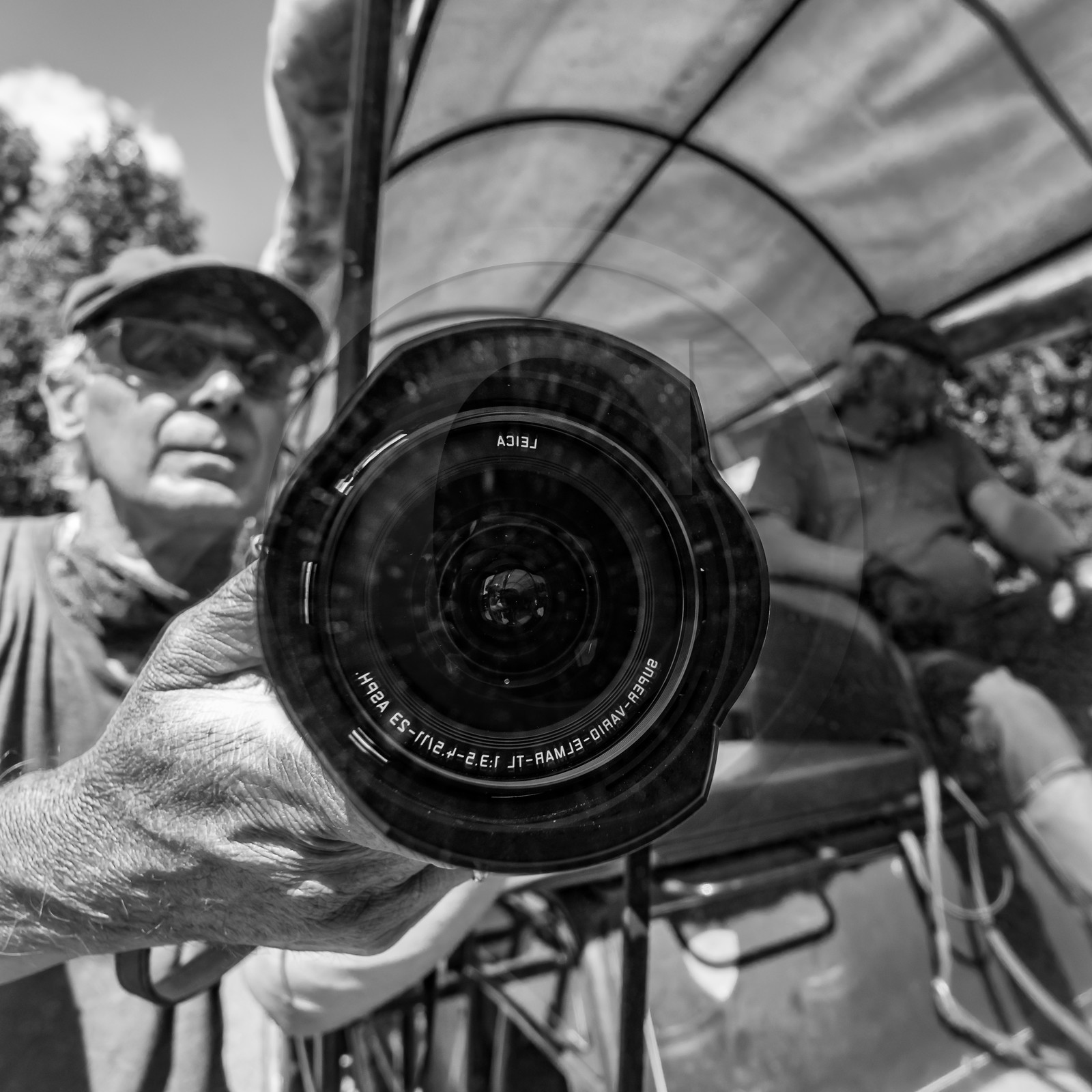 01 septembre 2021 : Promenade en cariole et contes