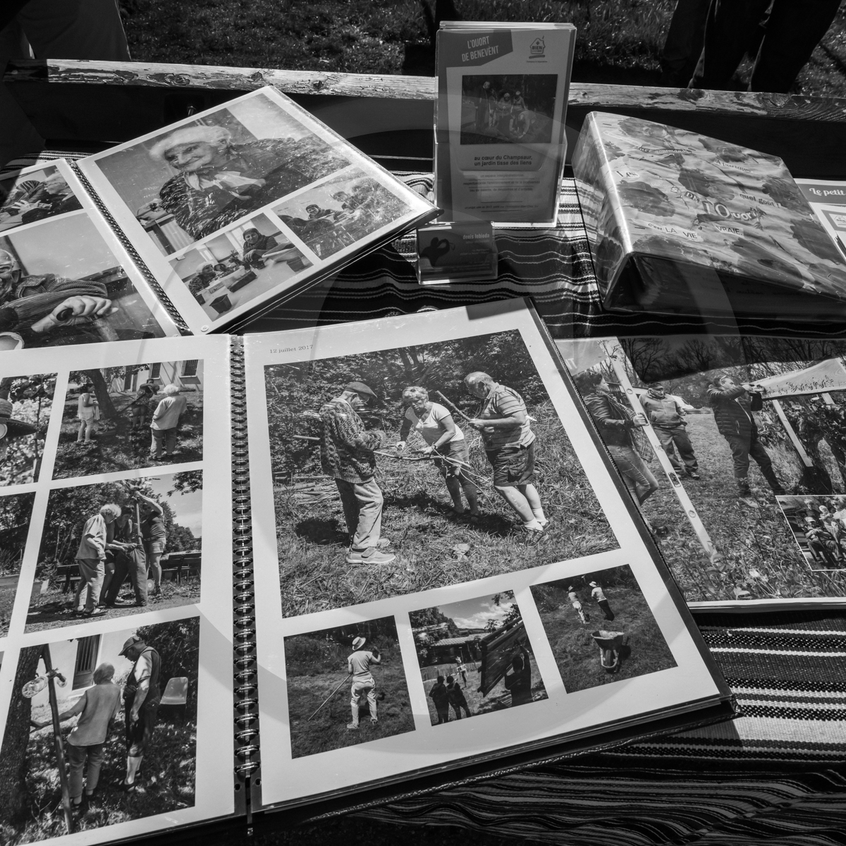 10 avril 2022 : Initiation à la greffe d'arbres fruitiers