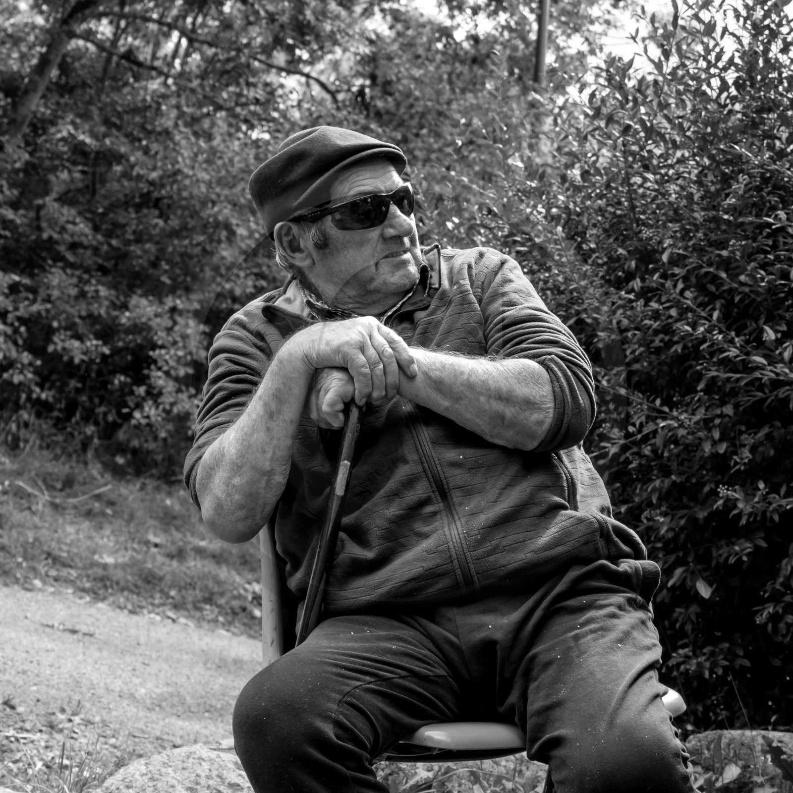 Promenade en calèche et contes