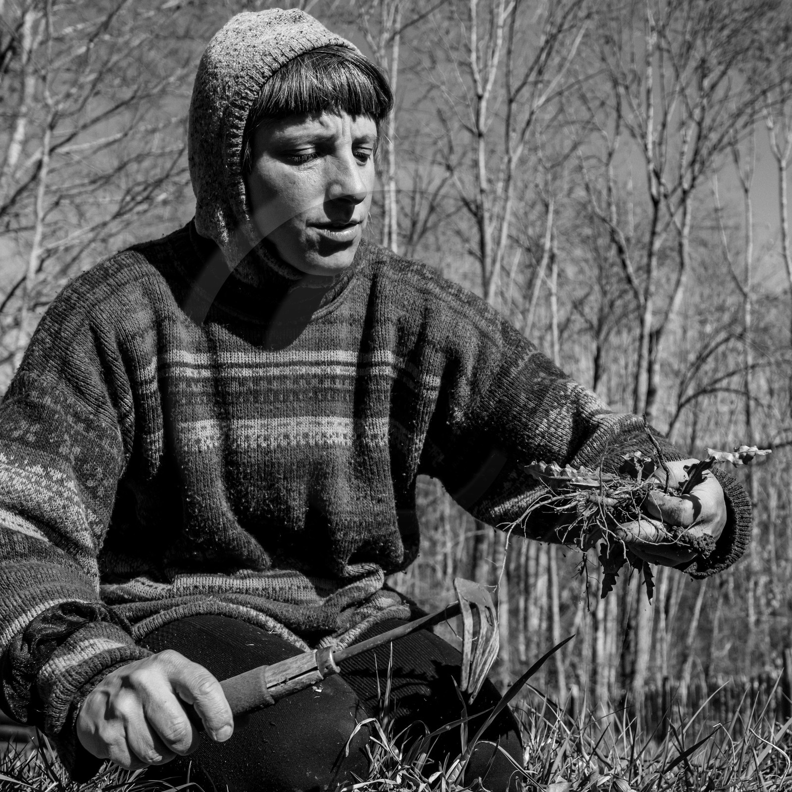 Ouort de Benevènt - 07 avril 2021