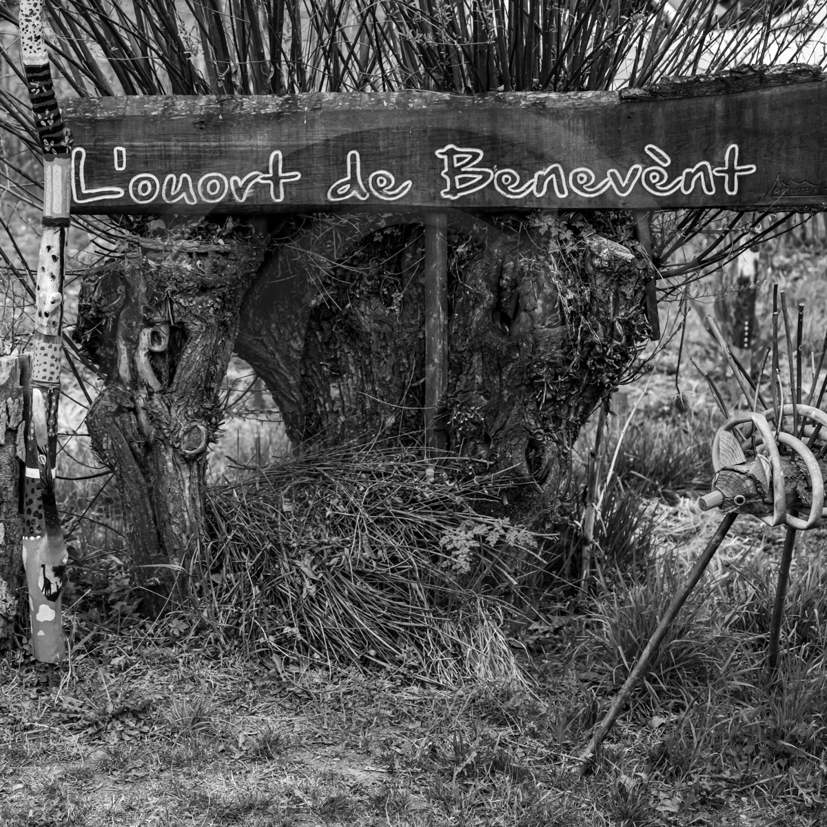 20 avril 2022 : des contes, des pommes de terre et un petit café