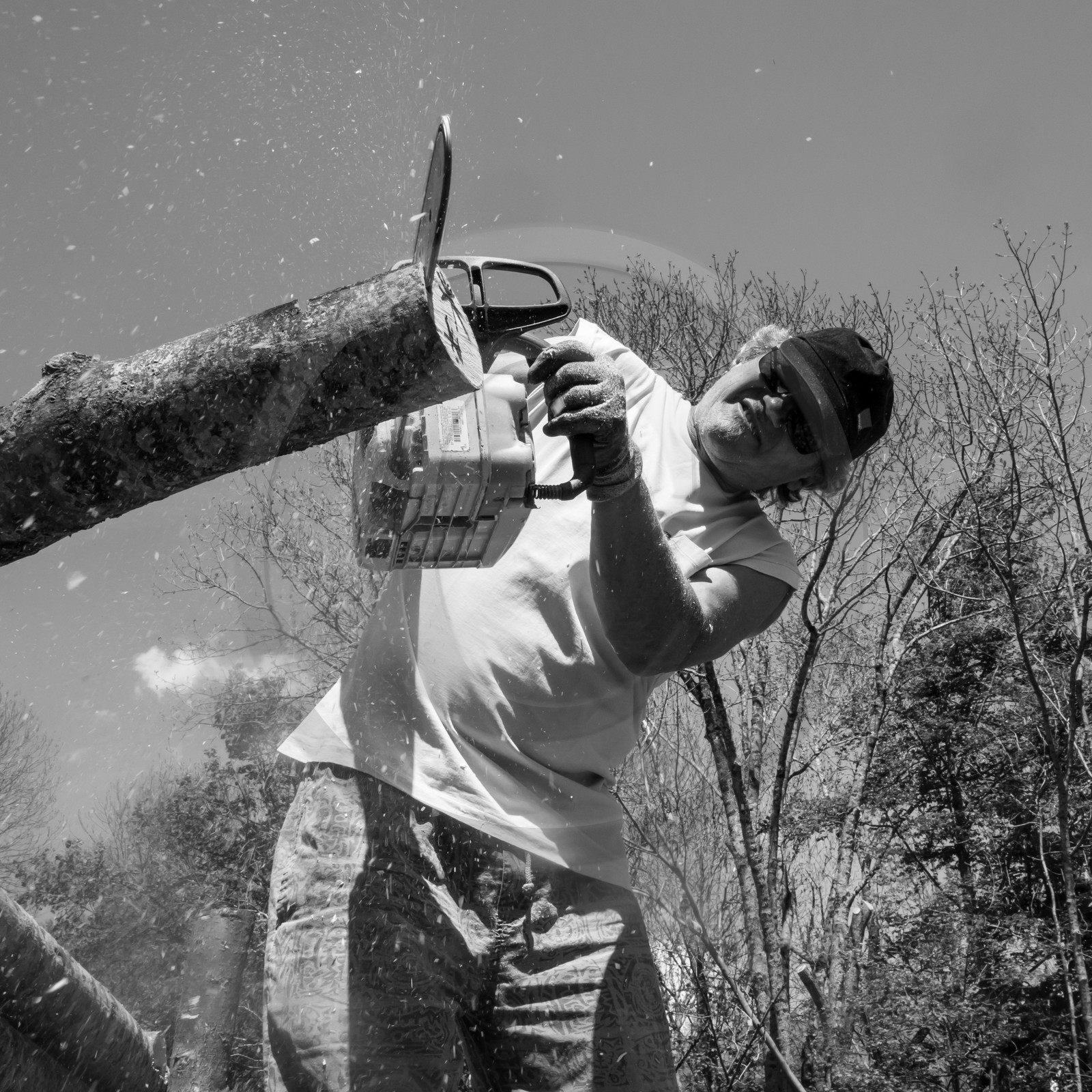 31 mai 2017 - Jardinage