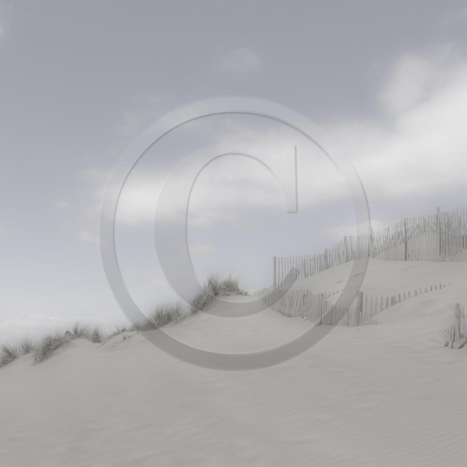 Camargue couleur pastel