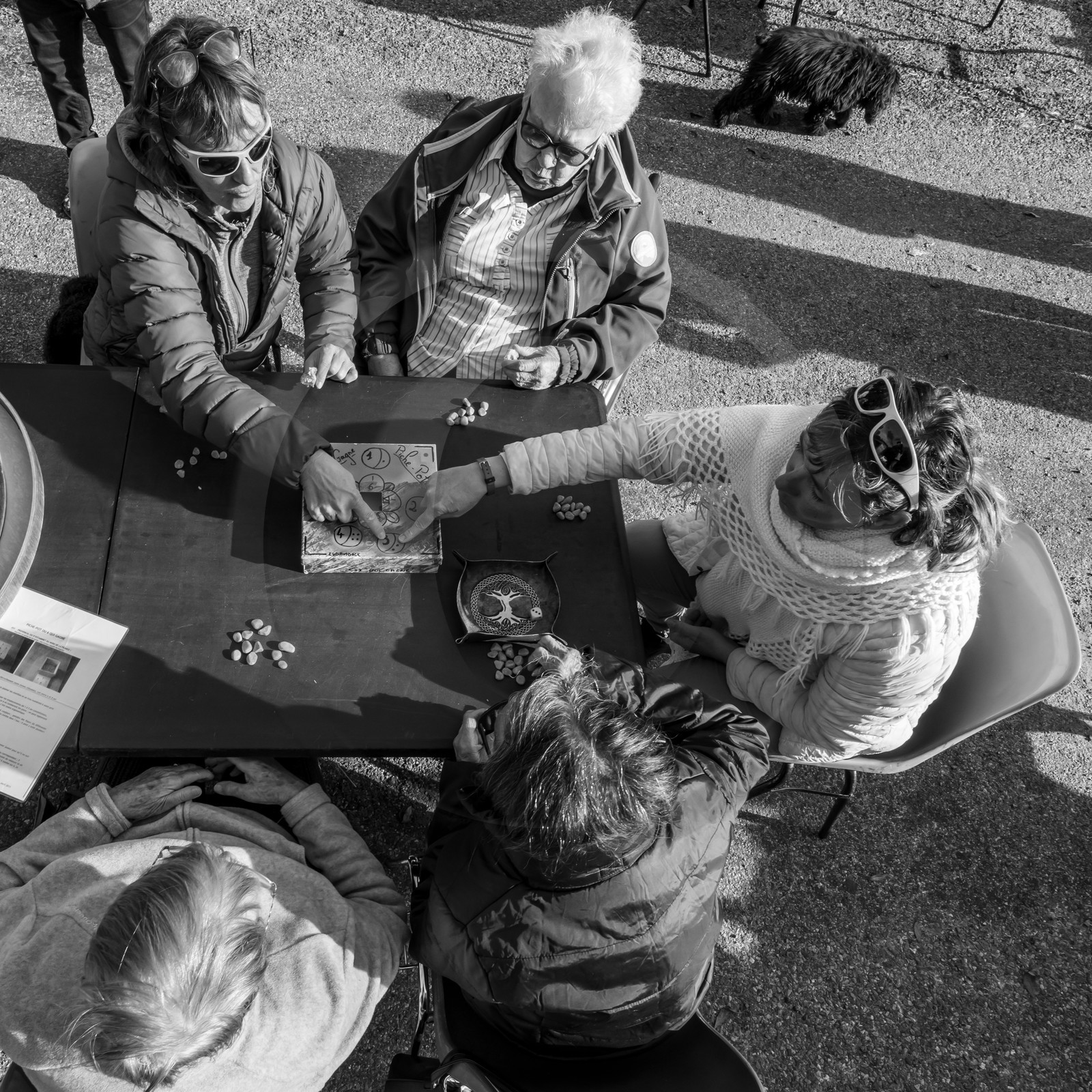 20 octobre 2021 : Des jeux avec Ludambule