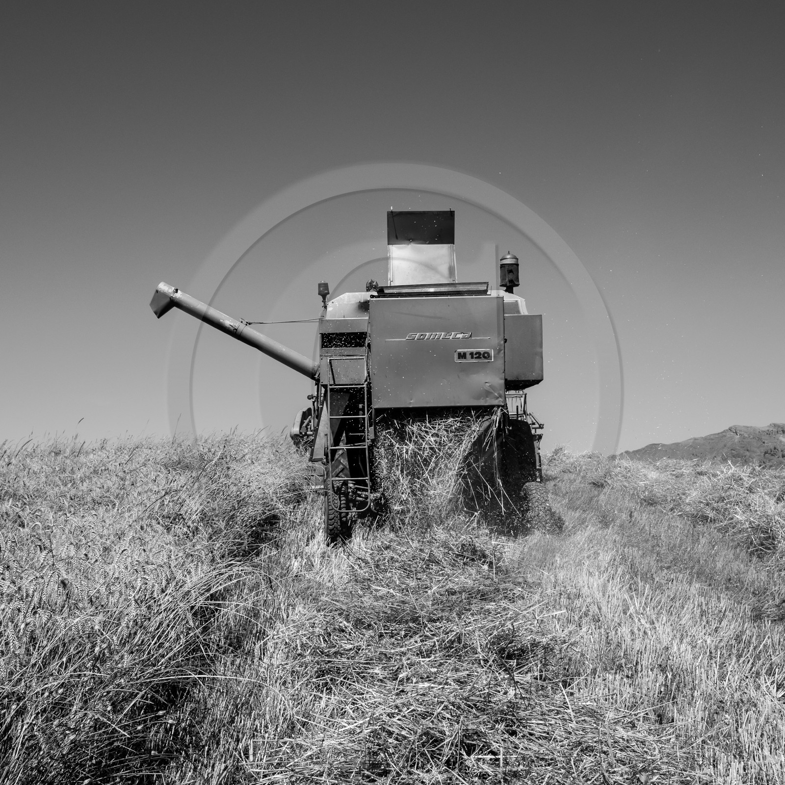 Les moissons dans le Champsaur