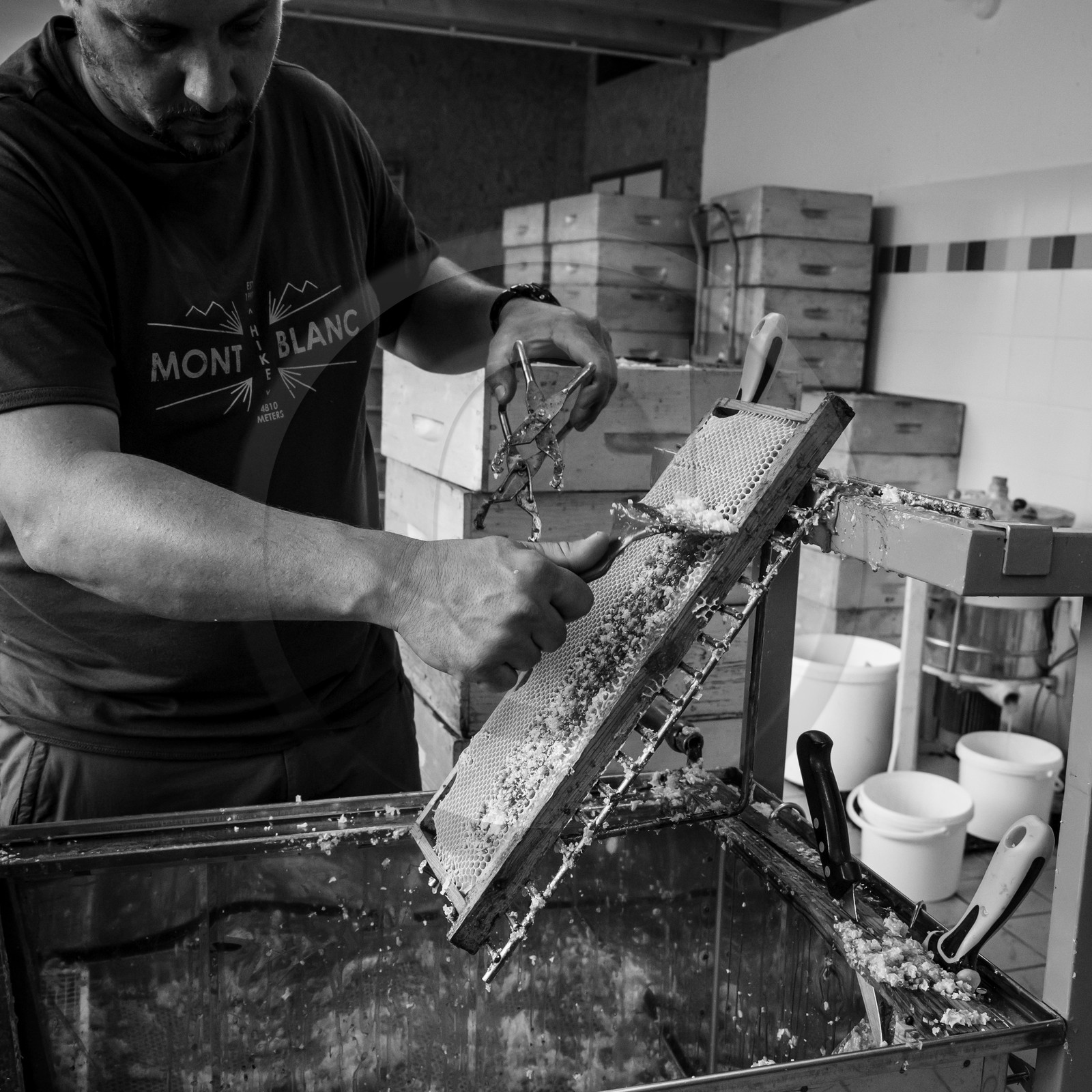 L'extraction du miel