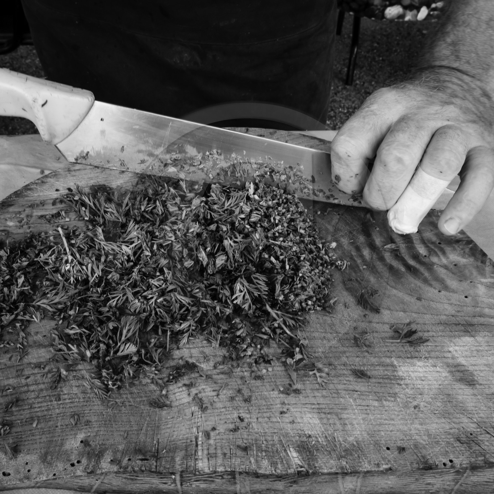 Pascal Daumaus, cuisinier et éducateur de goût