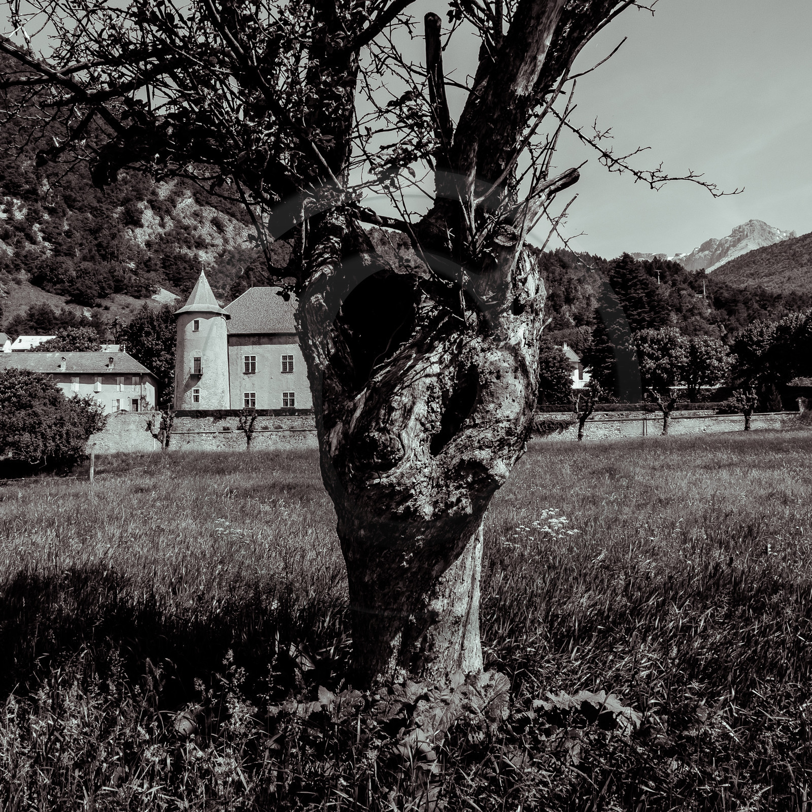 Le Château de Montmaur