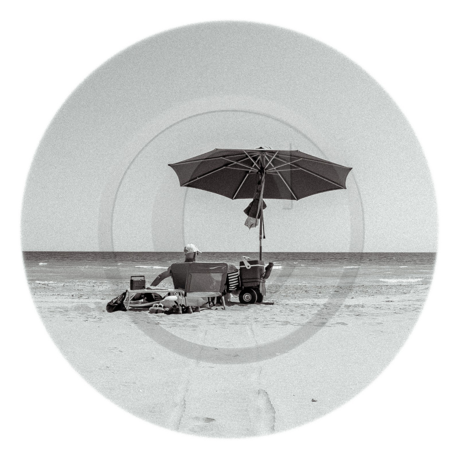 Les instants Camargue