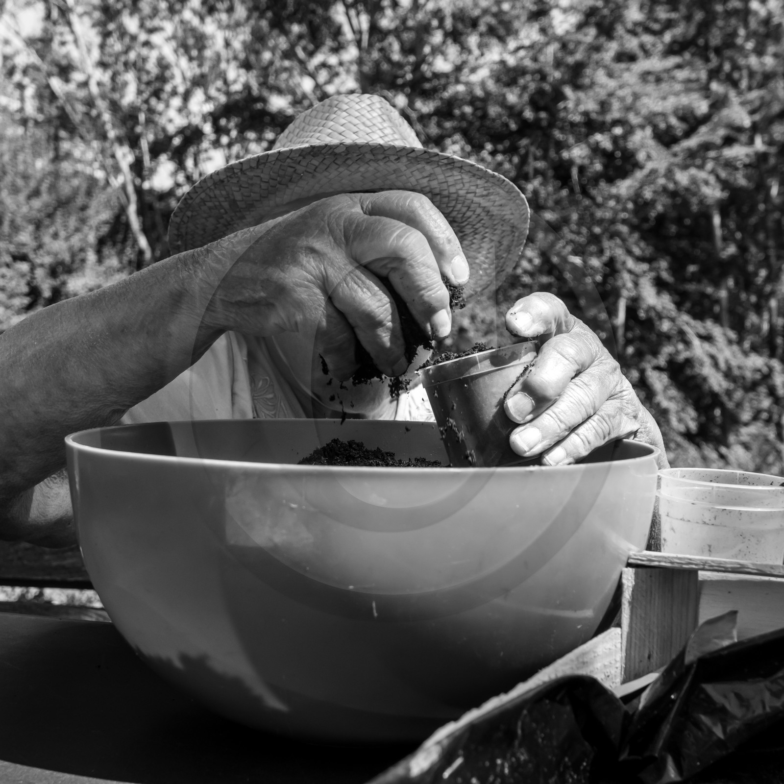 Activités au jardin