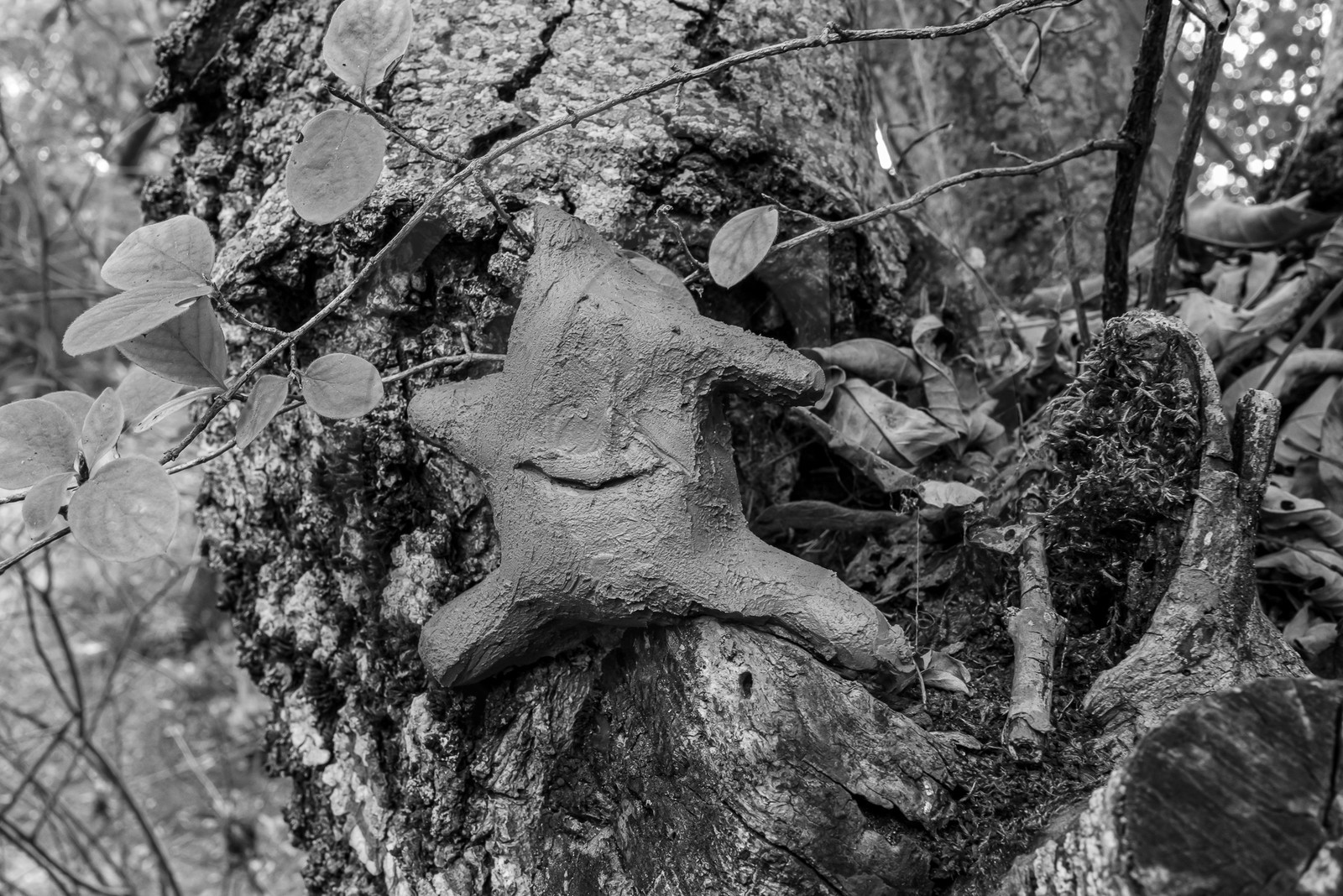 16 octobre 2023 : journée des aidants et des aidés