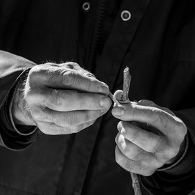 10 avril 2022 : Initiation à la greffe d'arbres fruitiers