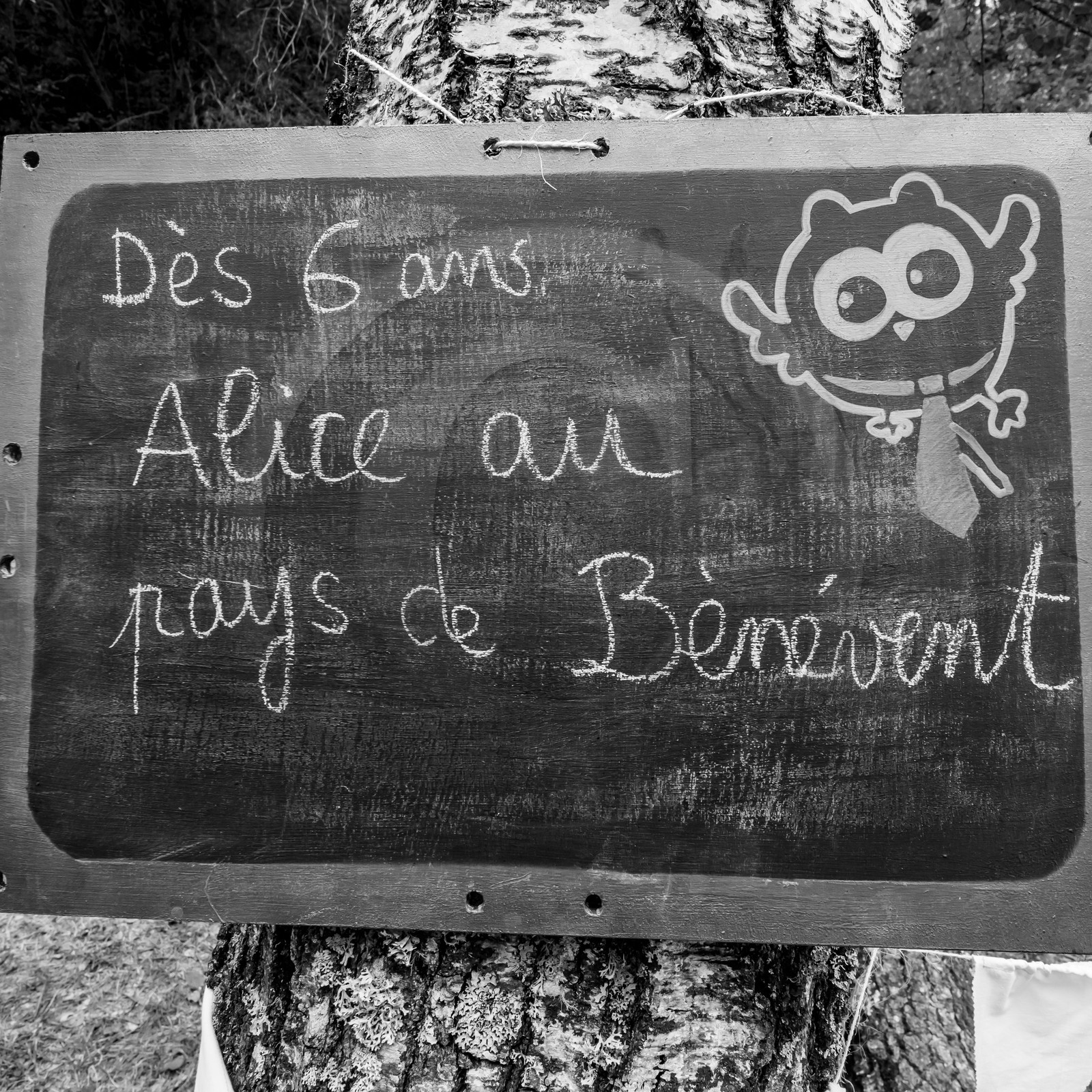 Festival l'Echo des mots