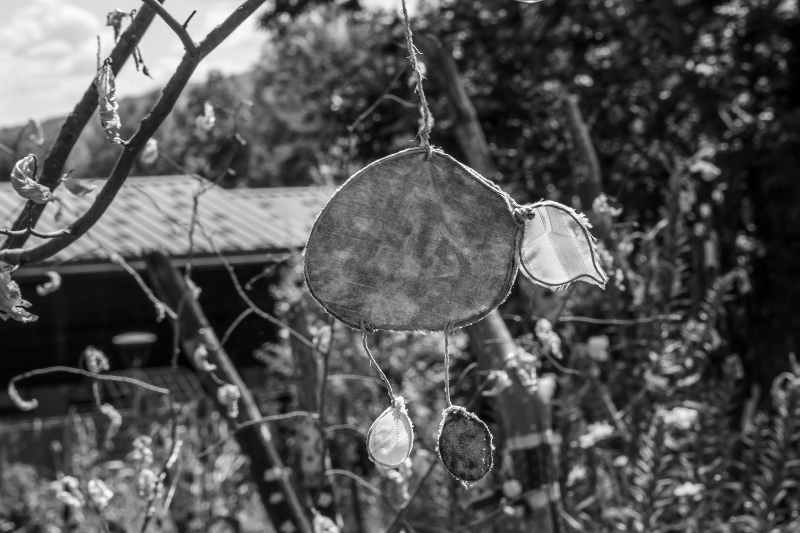 30 juillet 2025 : Avec le Studio 1071